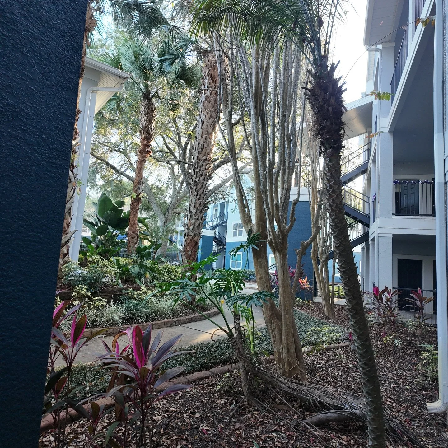 One of our favorite things about home: peaceful patio views surrounded by lush greenery 🌿💚
Would you hang out here?

#MovelnDay2025 #UCFMoveln #UCFclassof2026
#UCFclassof2027 #UCFclassof2029