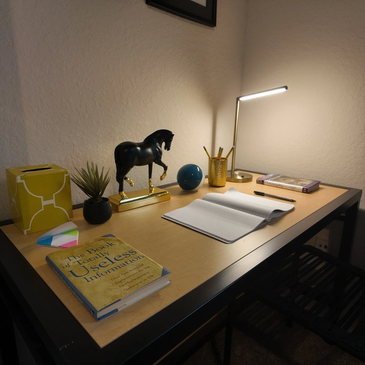 Where productivity meets comfort 📚✨ A study setup that makes focusing feel easy.

#MovelnDay2025 #UCFMoveln #UCFclassof2026
#UCFclassof2027 #UCFclassof2029