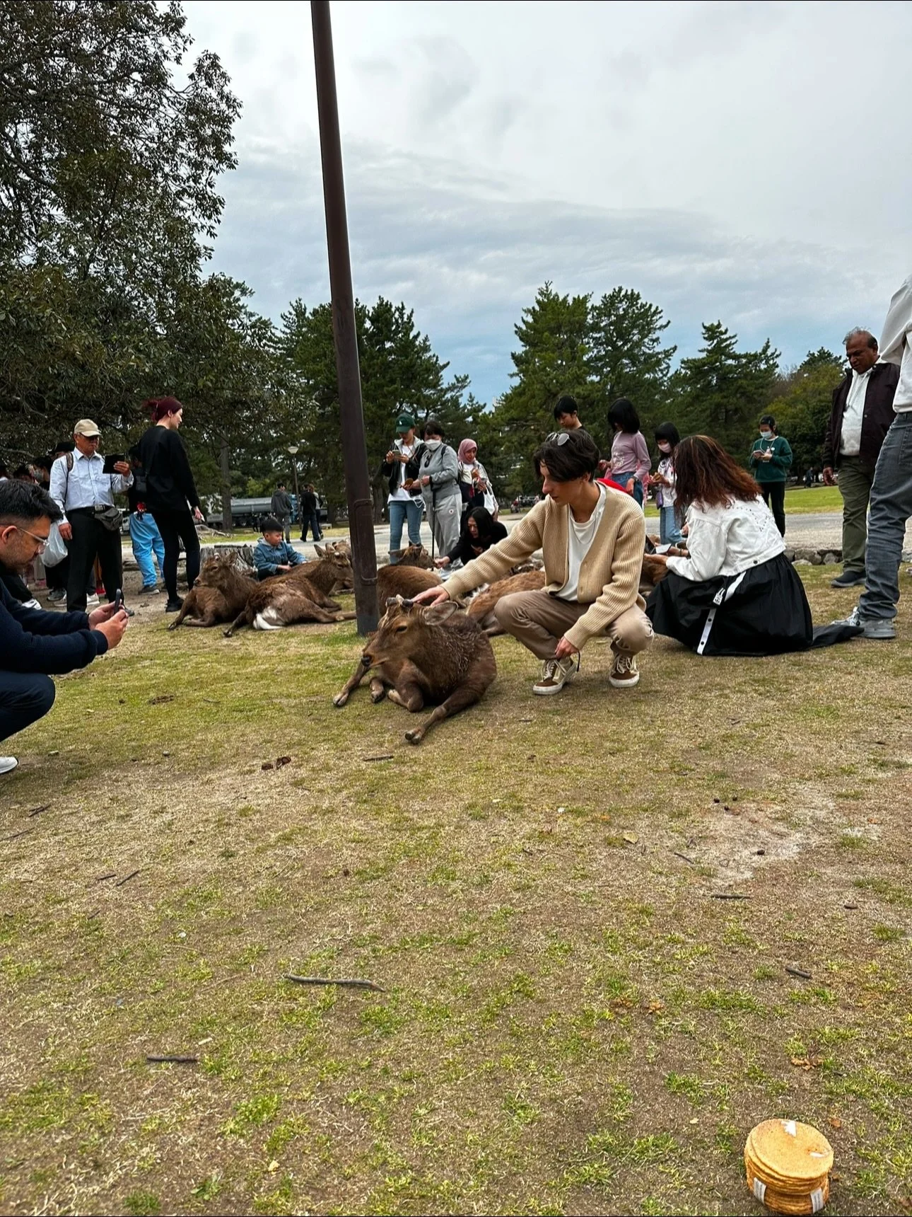 Meet the Staff Monday! 👋
Today we&rsquo;re introducing our amazing LM, Caiden!

When he&rsquo;s not on property helping residents find their dream home, you can usually find him booking flights, exploring new countries, or chasing the next festival 
