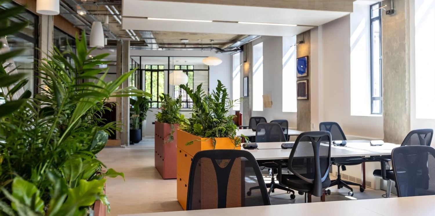 Creative-Offices-St-AlbansQueens House-134.jpg