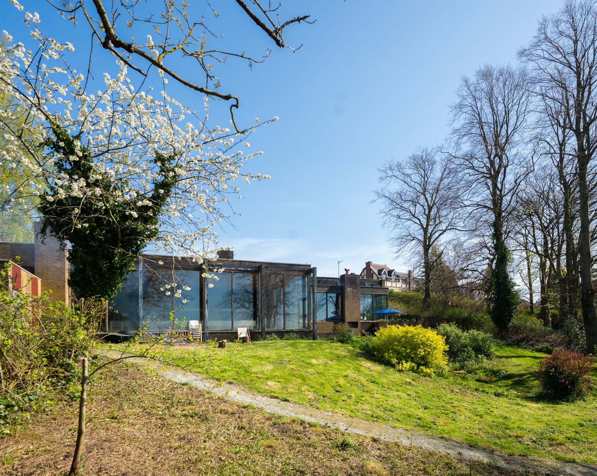 Garden (14).jpg