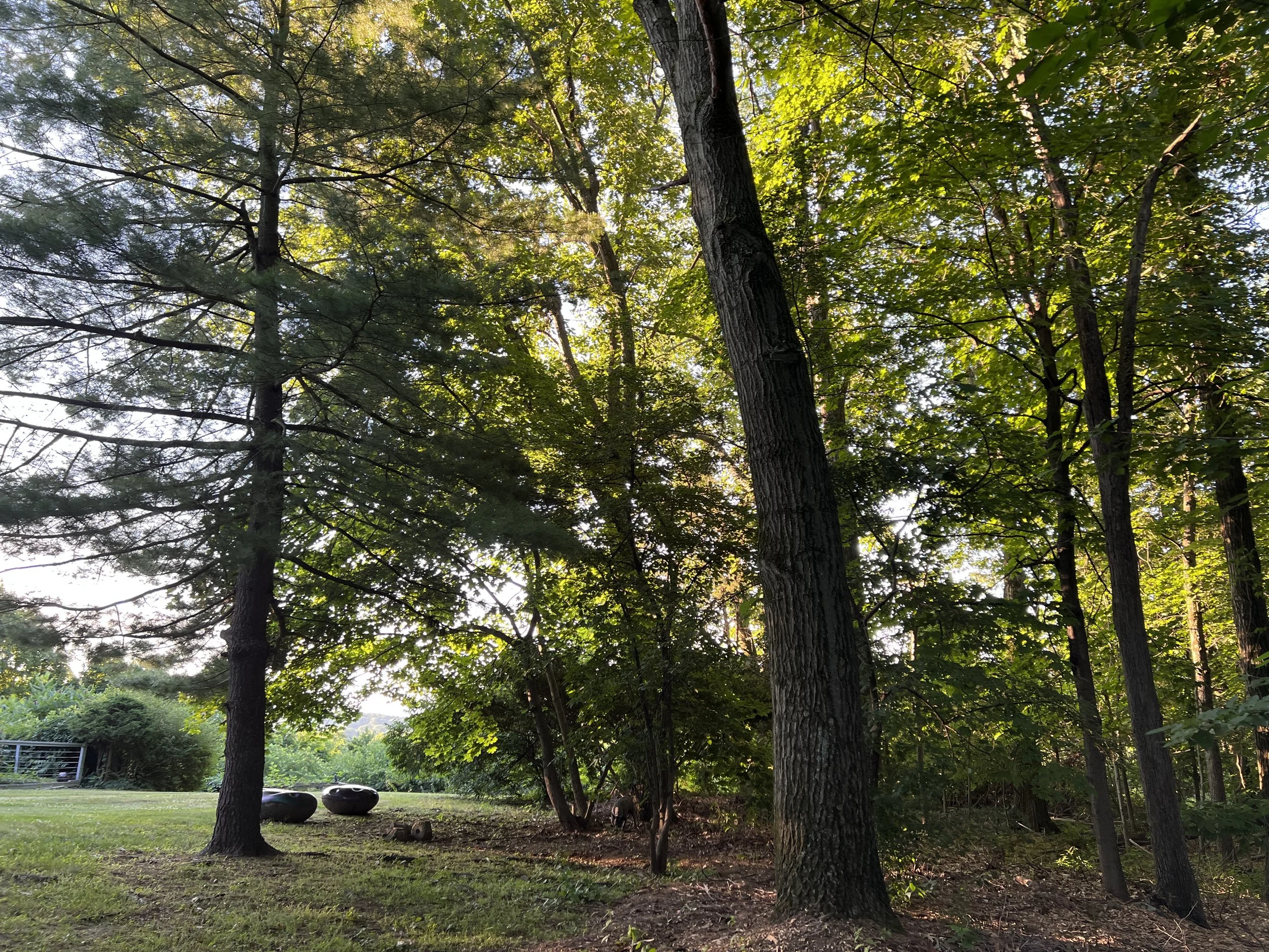 hudson-valley-mid-century-modern-newburghPROPERTY 6.JPG