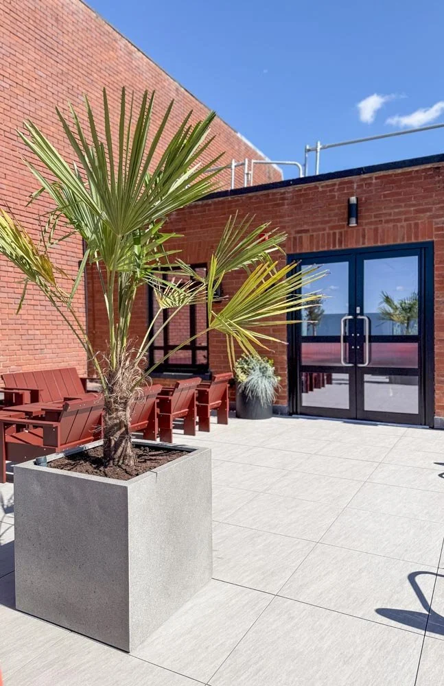 Creative-Offices-St-AlbansQueens House-072.jpg