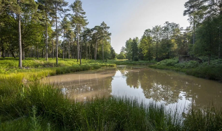 Three Oak Pond37.jpg