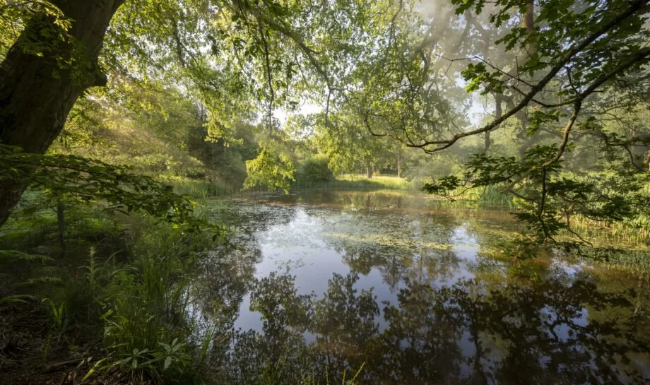 Three Oak Pond46.jpg