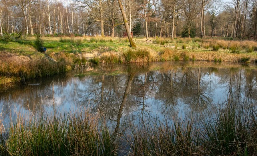 Three Oak Pond11.jpg