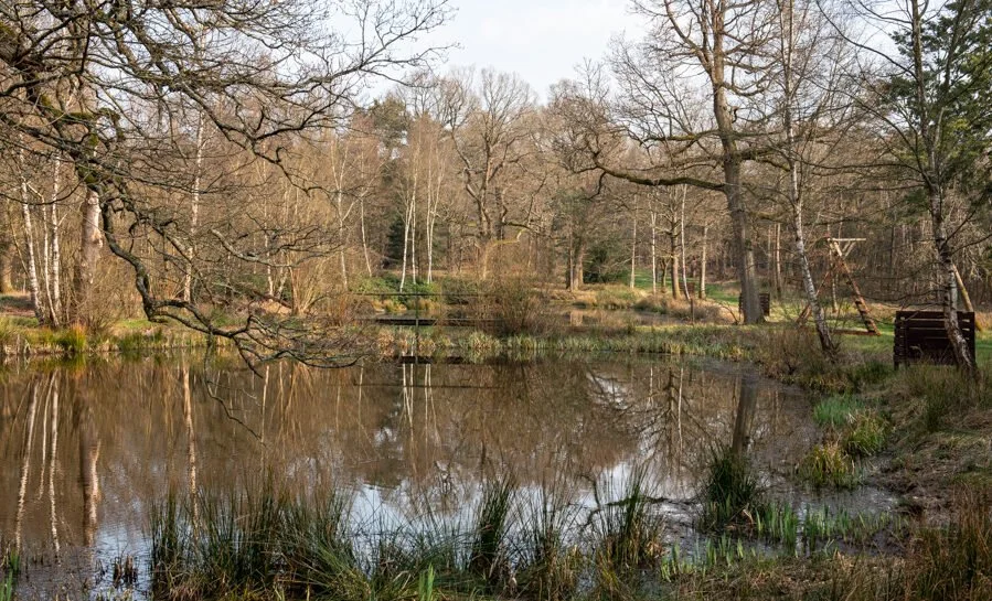 Three Oak Pond3.jpg