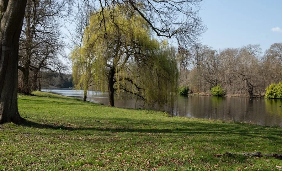 Broad Bridge17.jpg