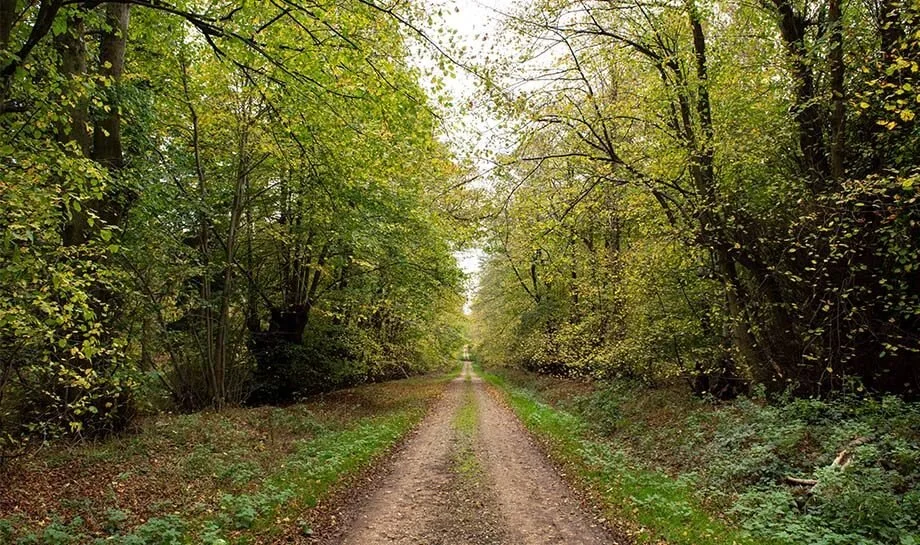 Welham Green Road8.jpg