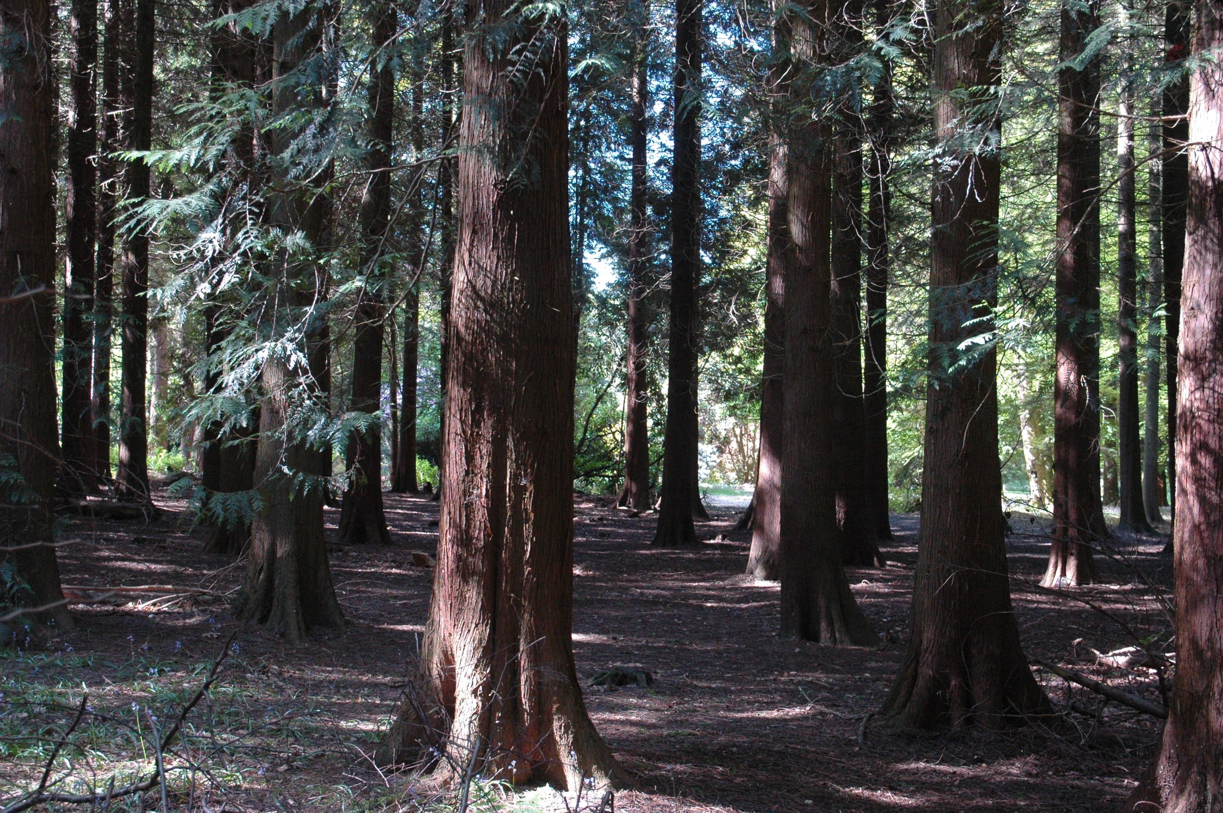North_Downs_Farm_05.JPG