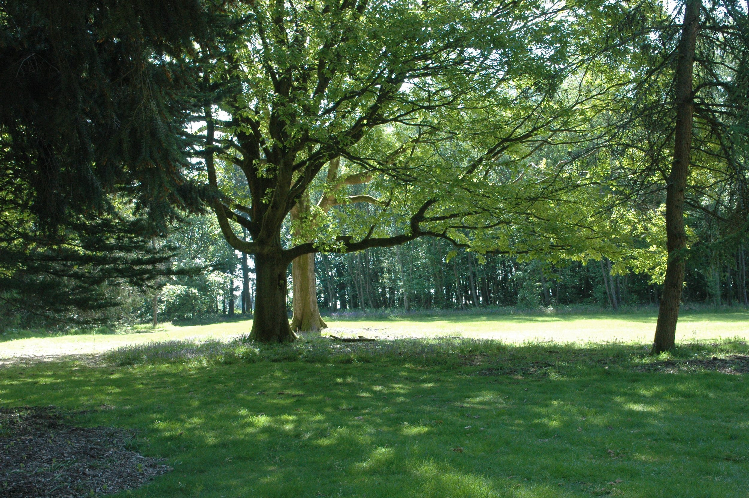 North_Downs_Farm_06.JPG