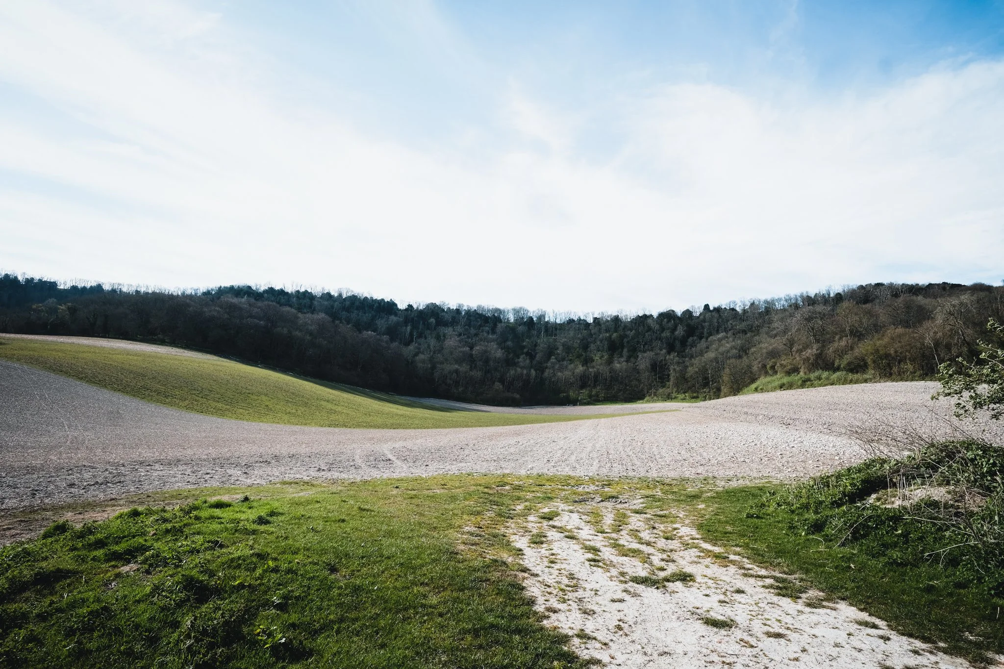 Midhurst_Woodlands_16.jpg