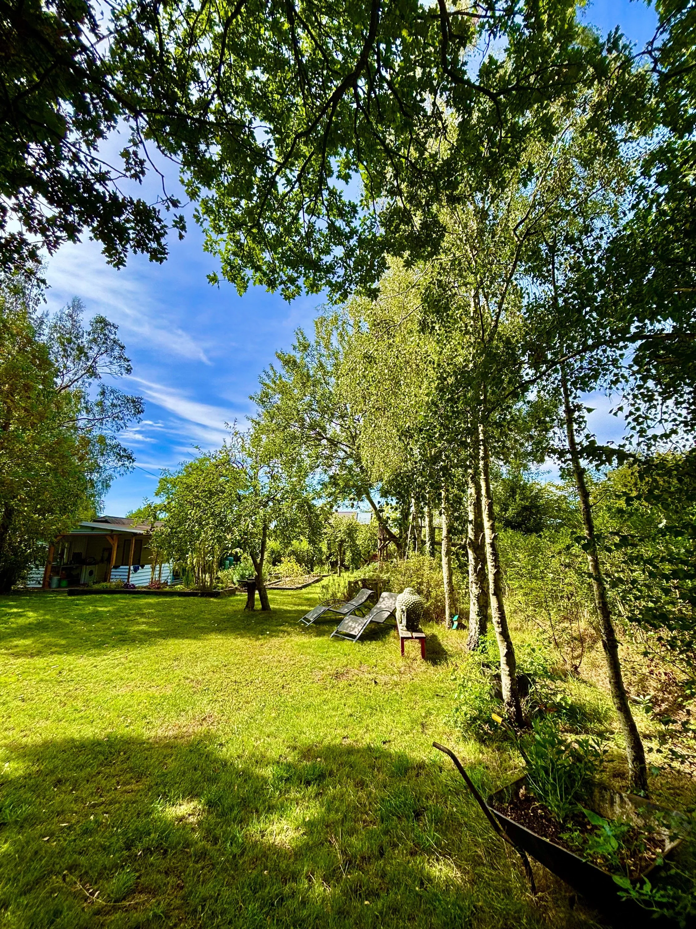 Pluckley_Cottage_33.jpeg