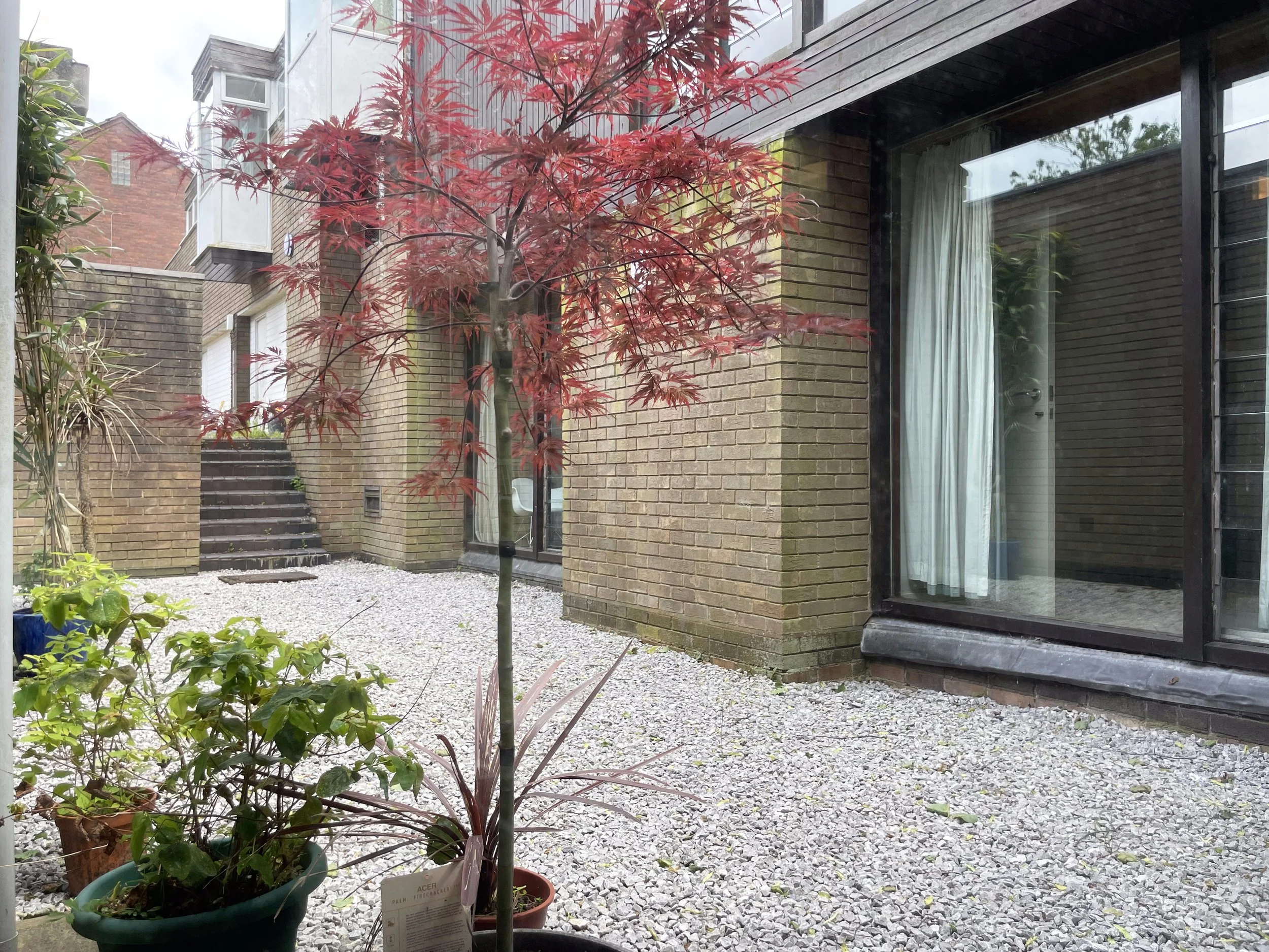 Internal garden 1.jpg