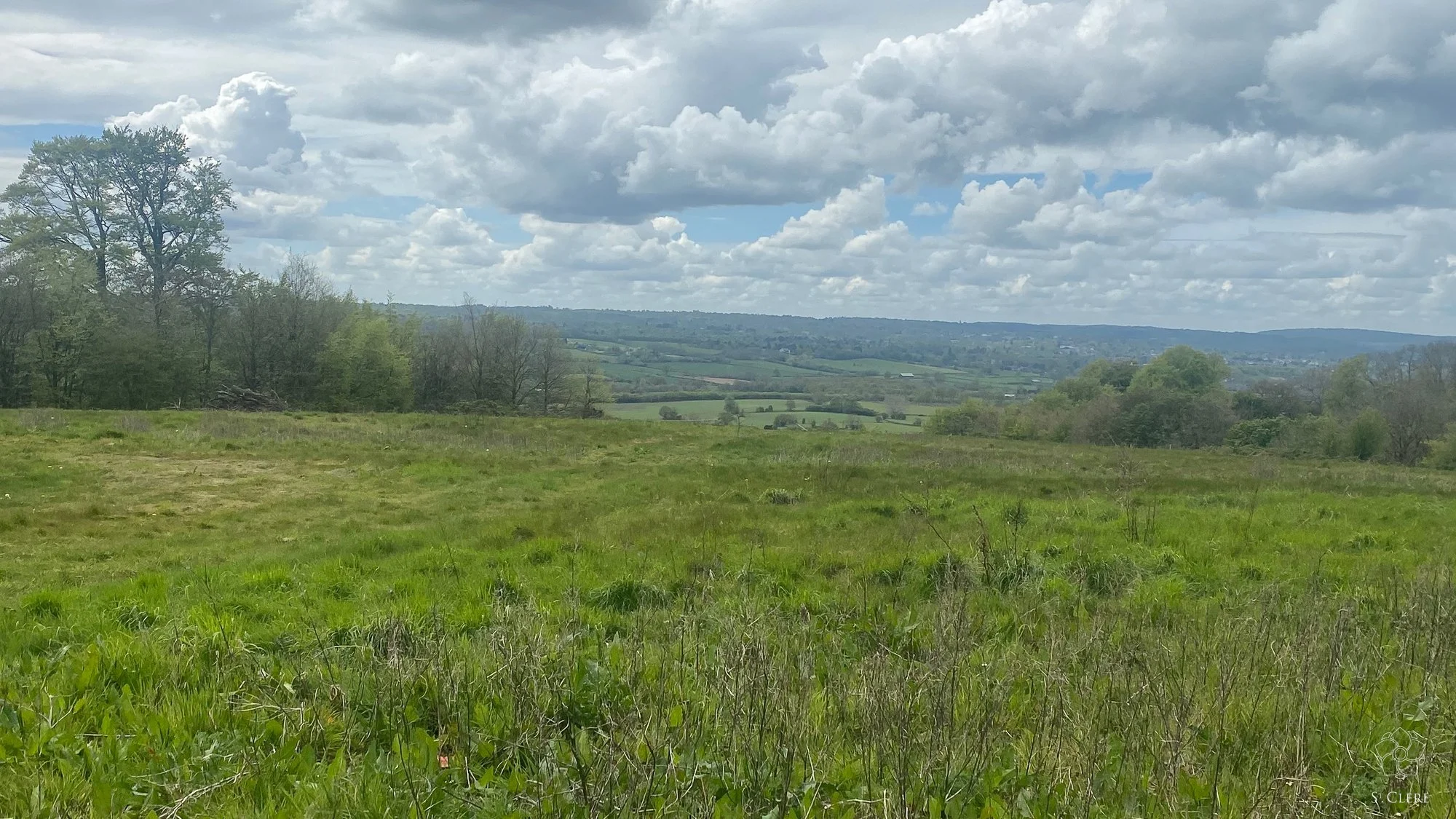 North_Downs_Farm_08.jpg
