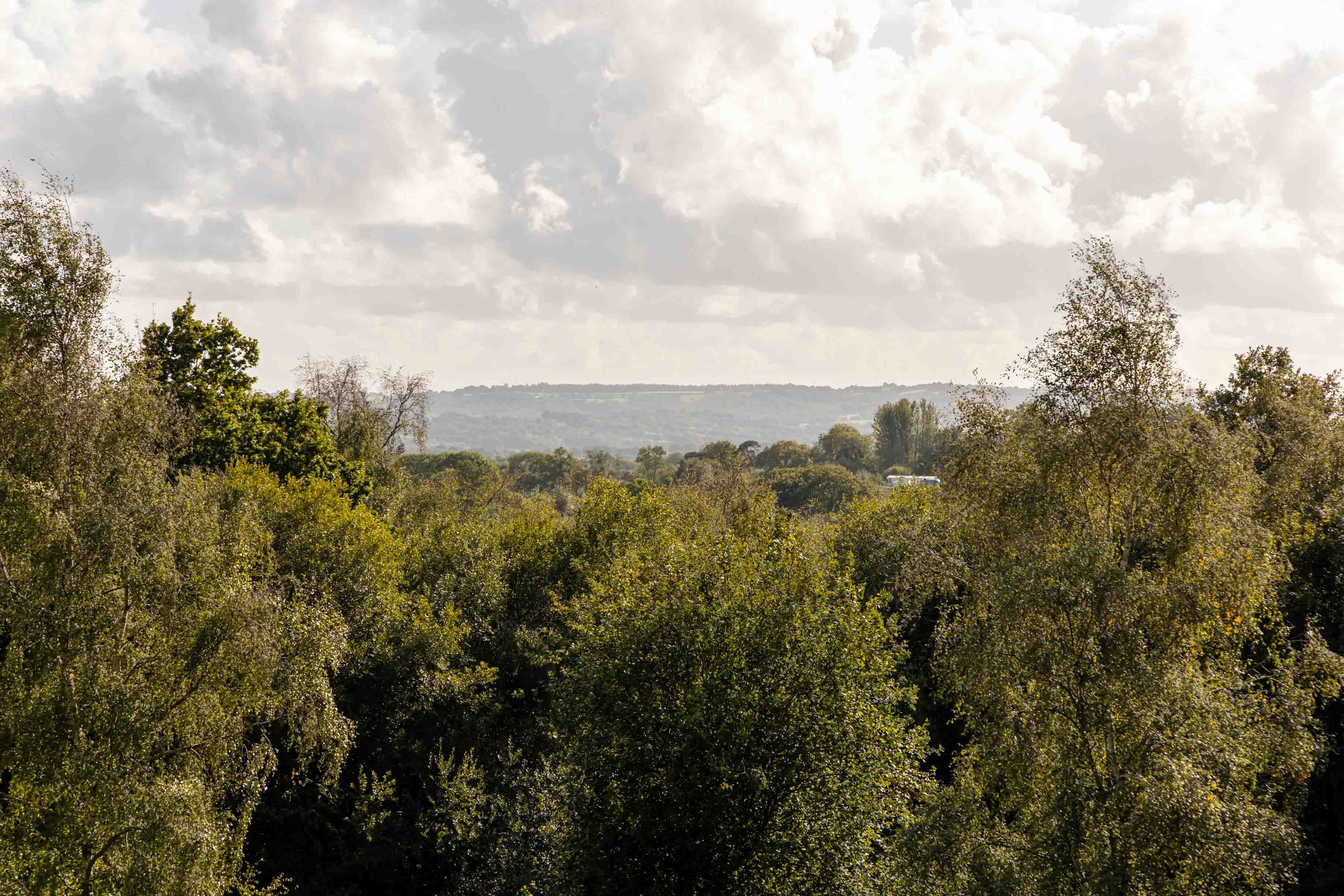 woodland-enterprise-estate-east-sussex-37.jpg