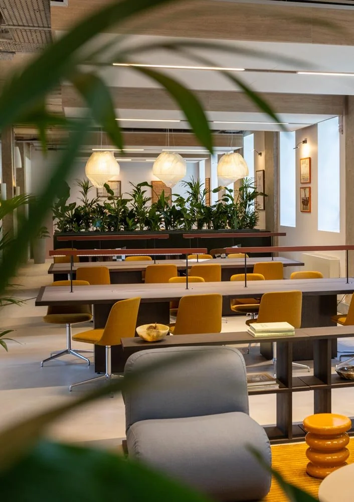 Creative-Offices-St-AlbansQueens House-125.jpg