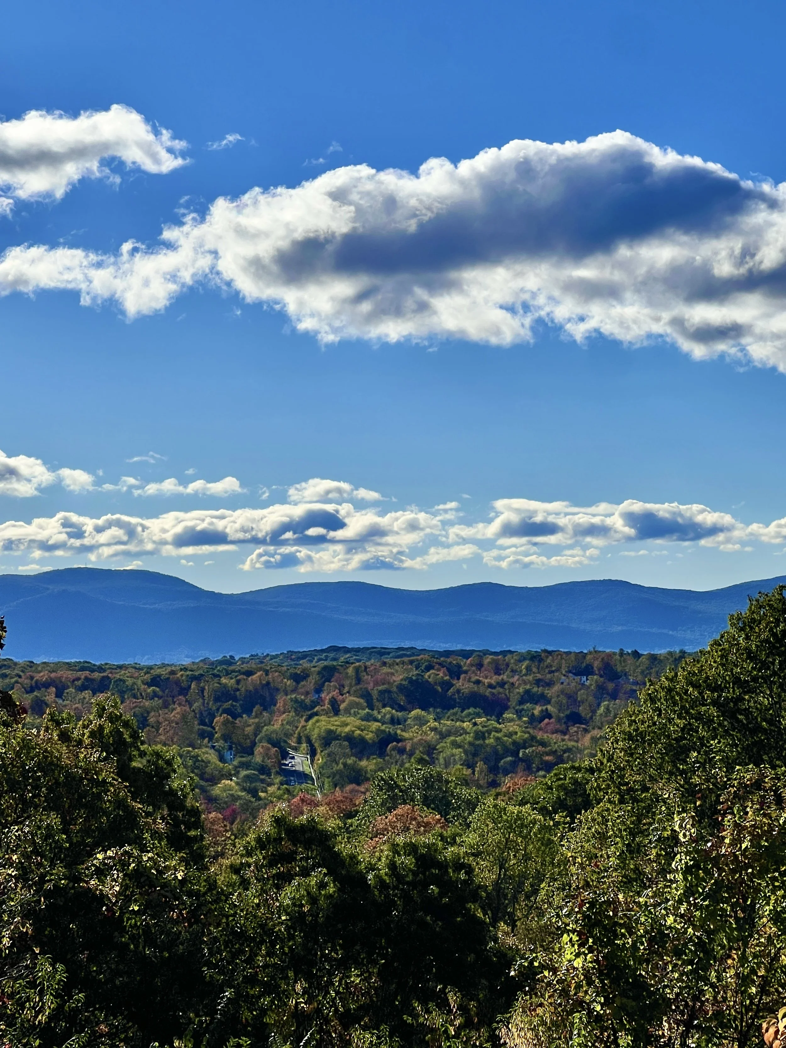 hudson-valley-mid-century-modern-newburghVIEW 5.JPG