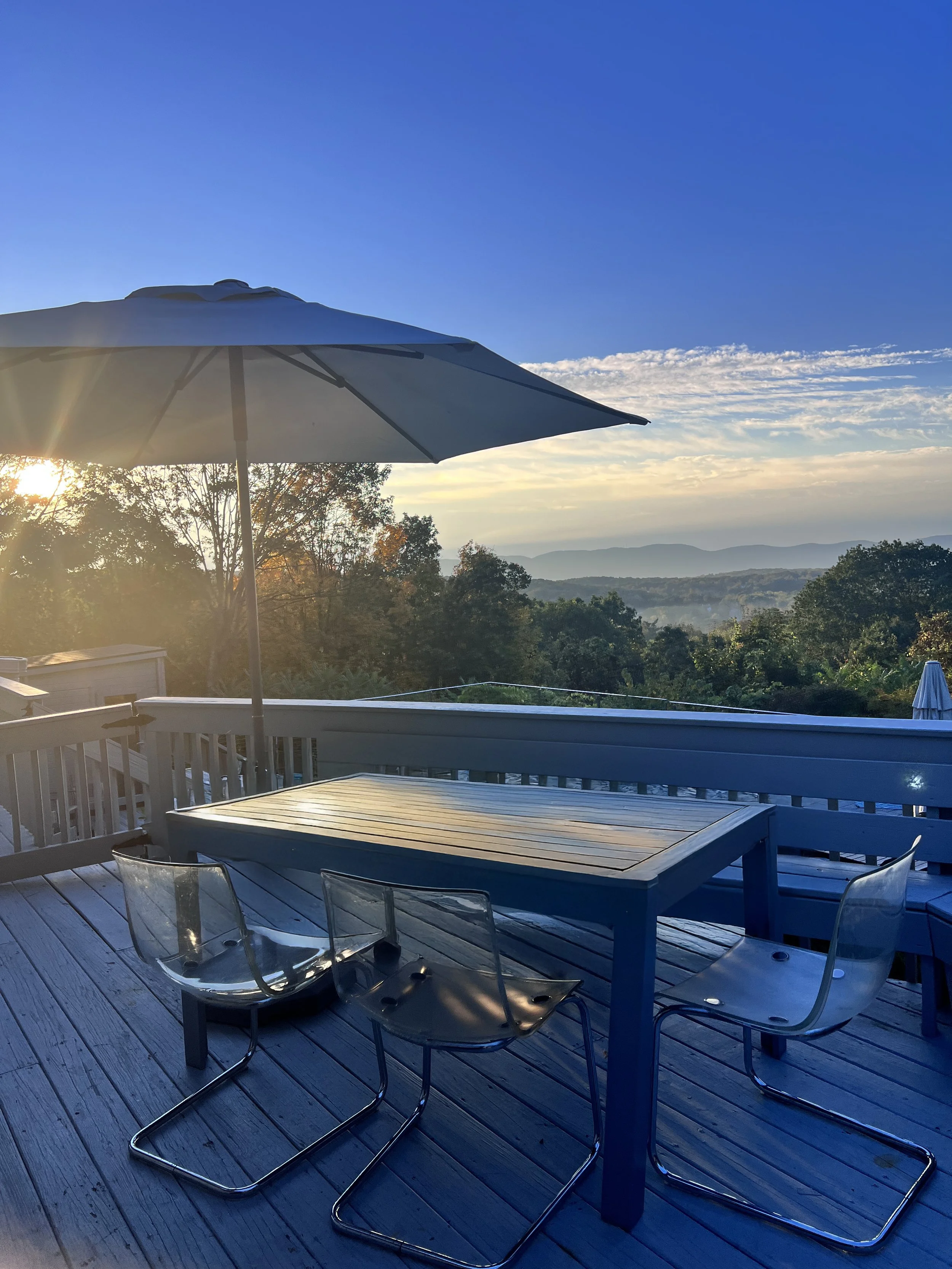 hudson-valley-mid-century-modern-newburghTERRACE 3.JPG