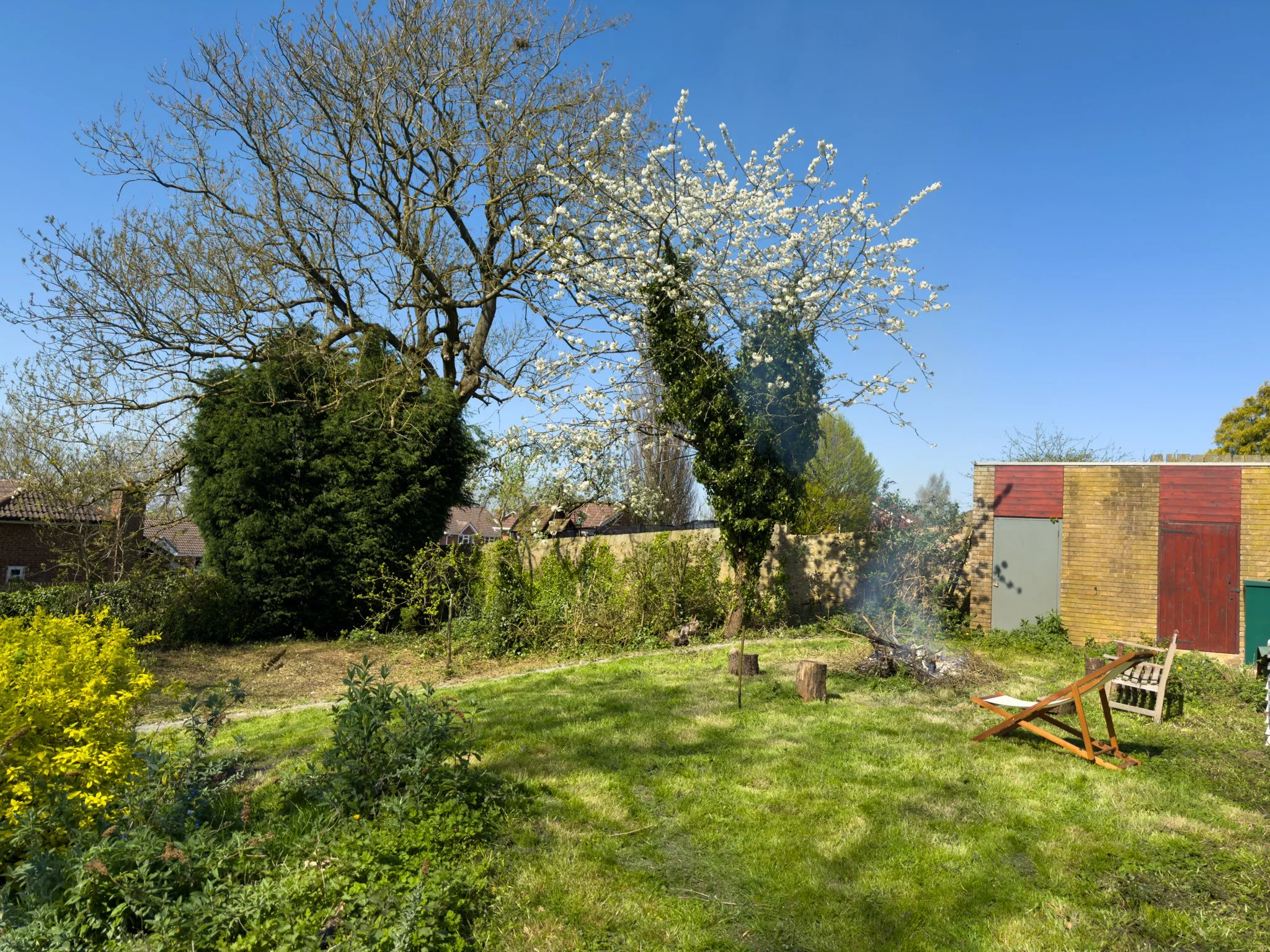 Garden (2).jpg