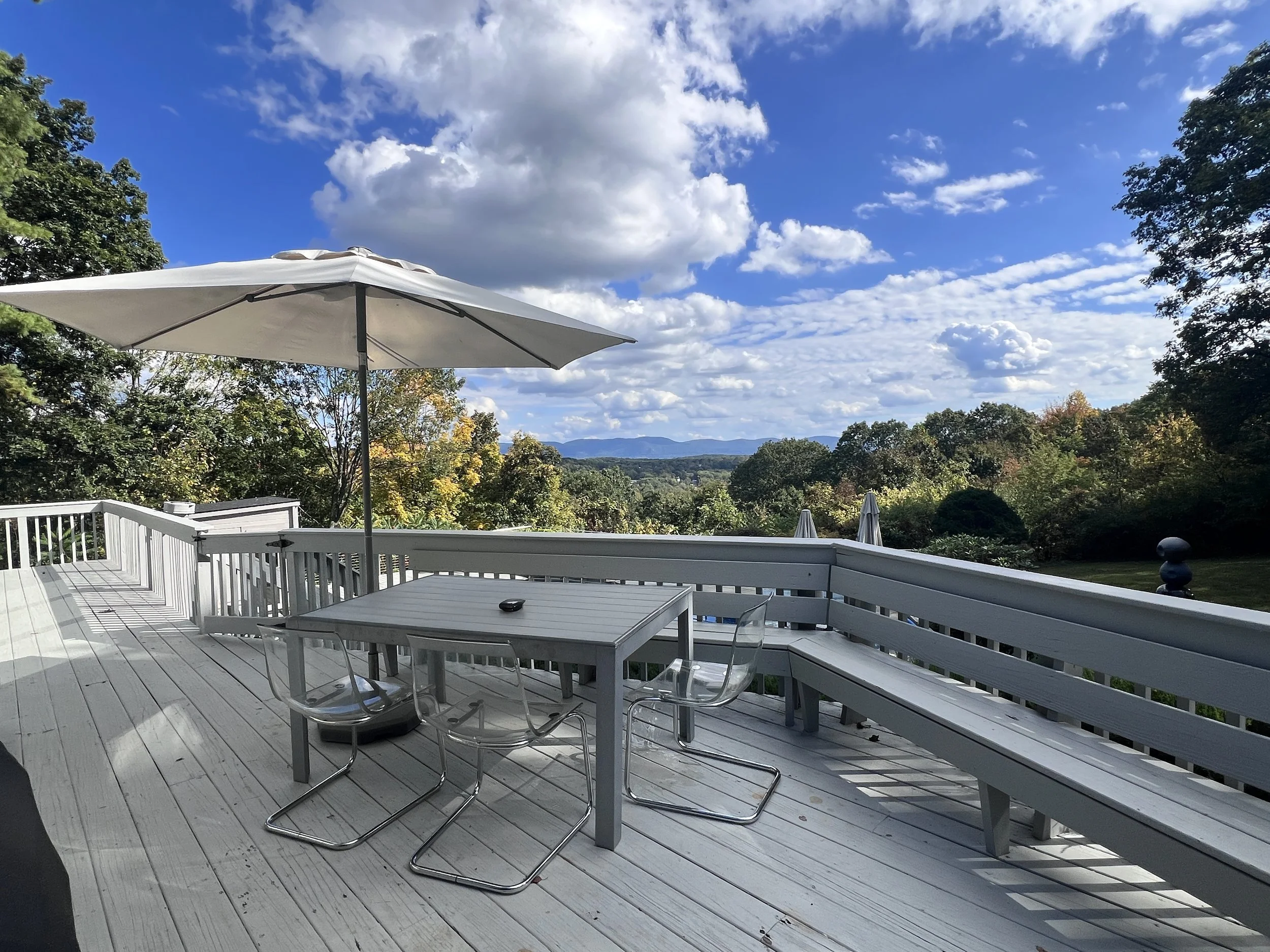 hudson-valley-mid-century-modern-newburghTERRACE 1.jpg