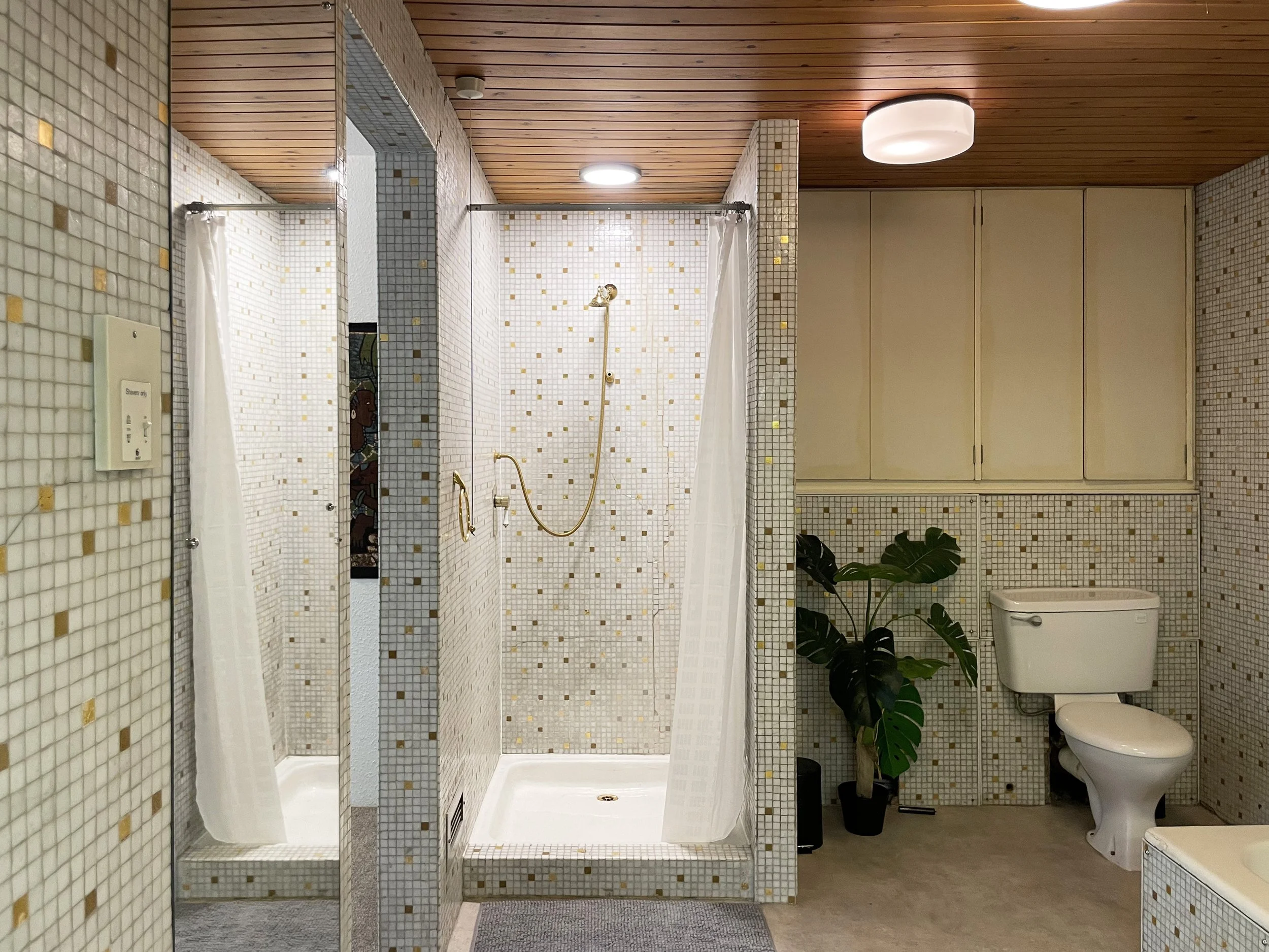 Gold bathroom 3.jpg