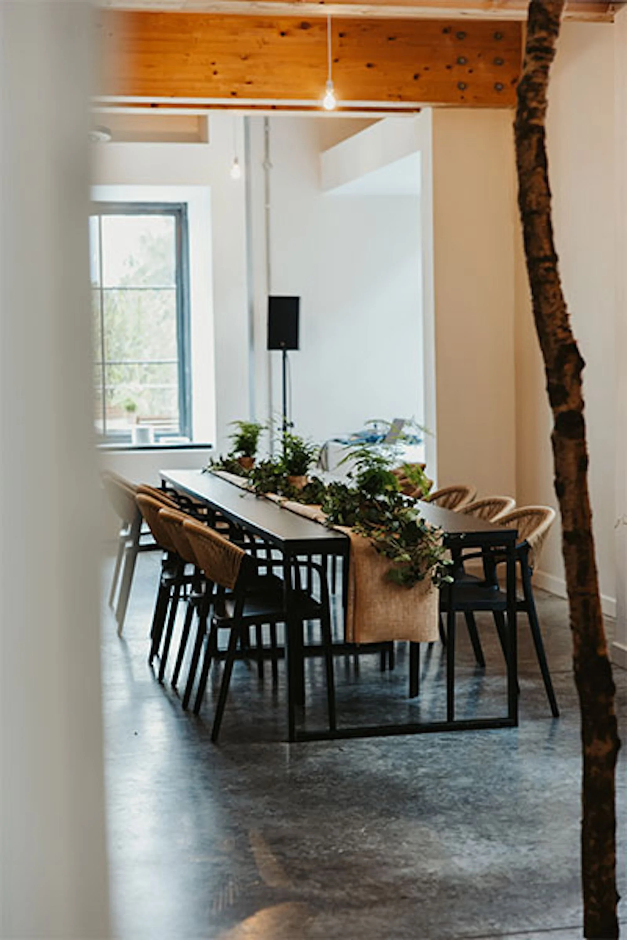 woodland-event-space-east-sussex-11.jpg