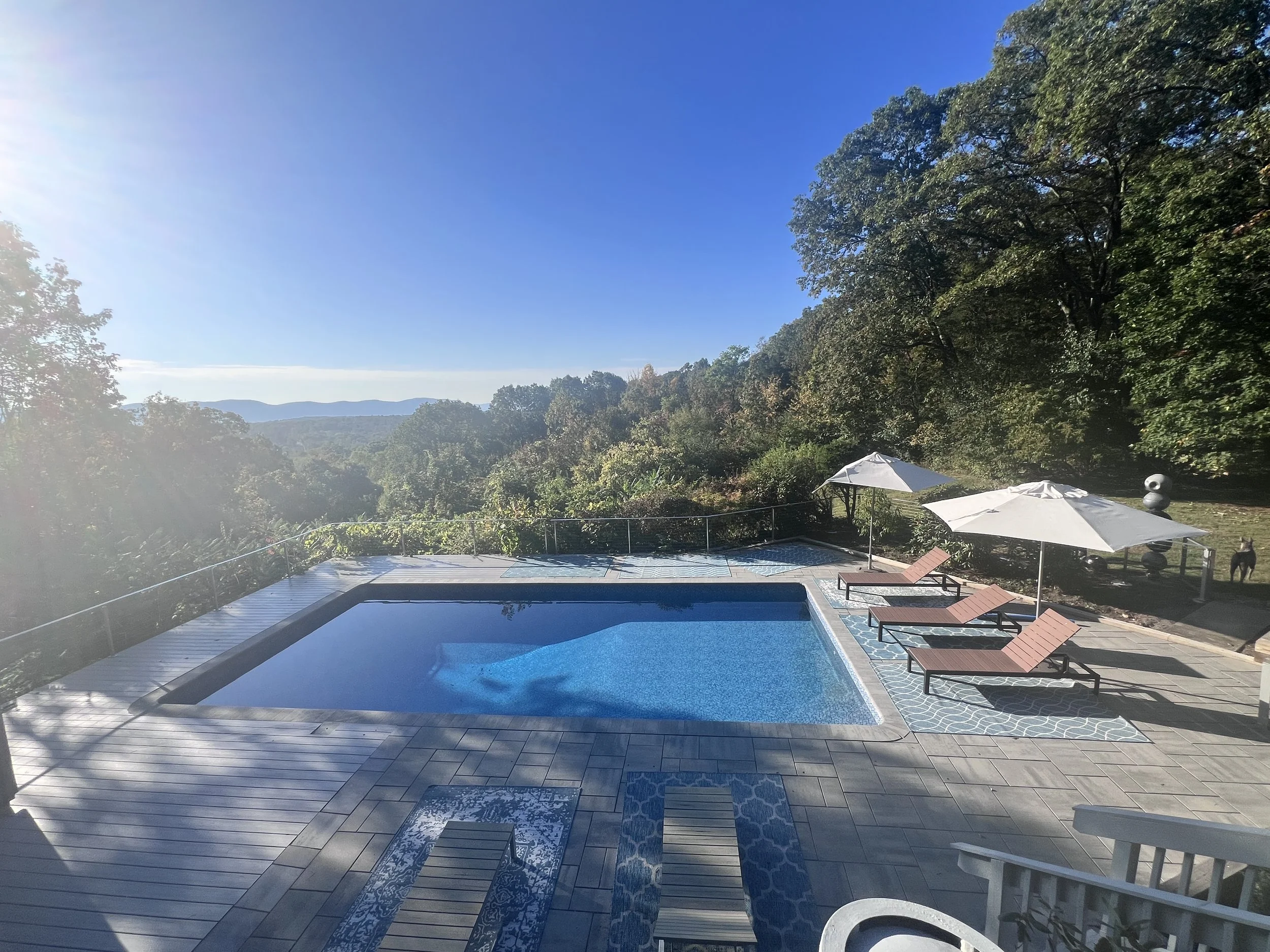 hudson-valley-mid-century-modern-newburghPOOL 2.JPG