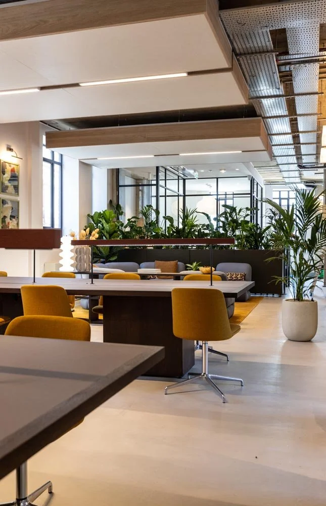 Creative-Offices-St-AlbansQueens House-107.jpg