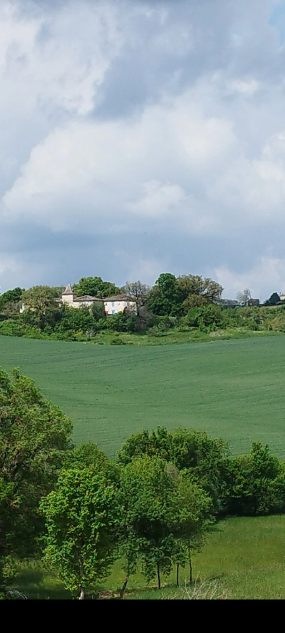 gascogne-medieval-estate-126.jpg