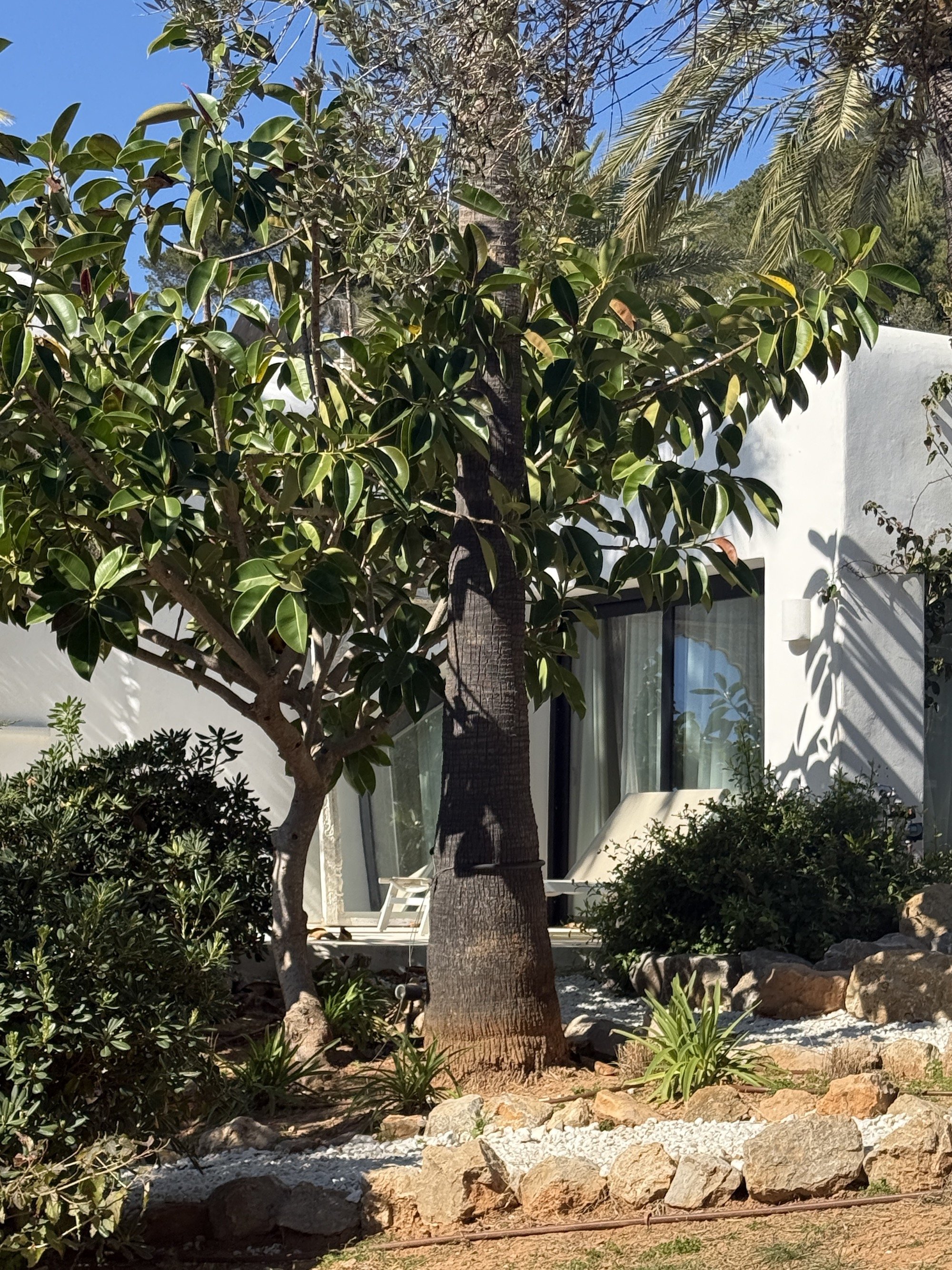 luxury-estate-ibiza-7.jpeg
