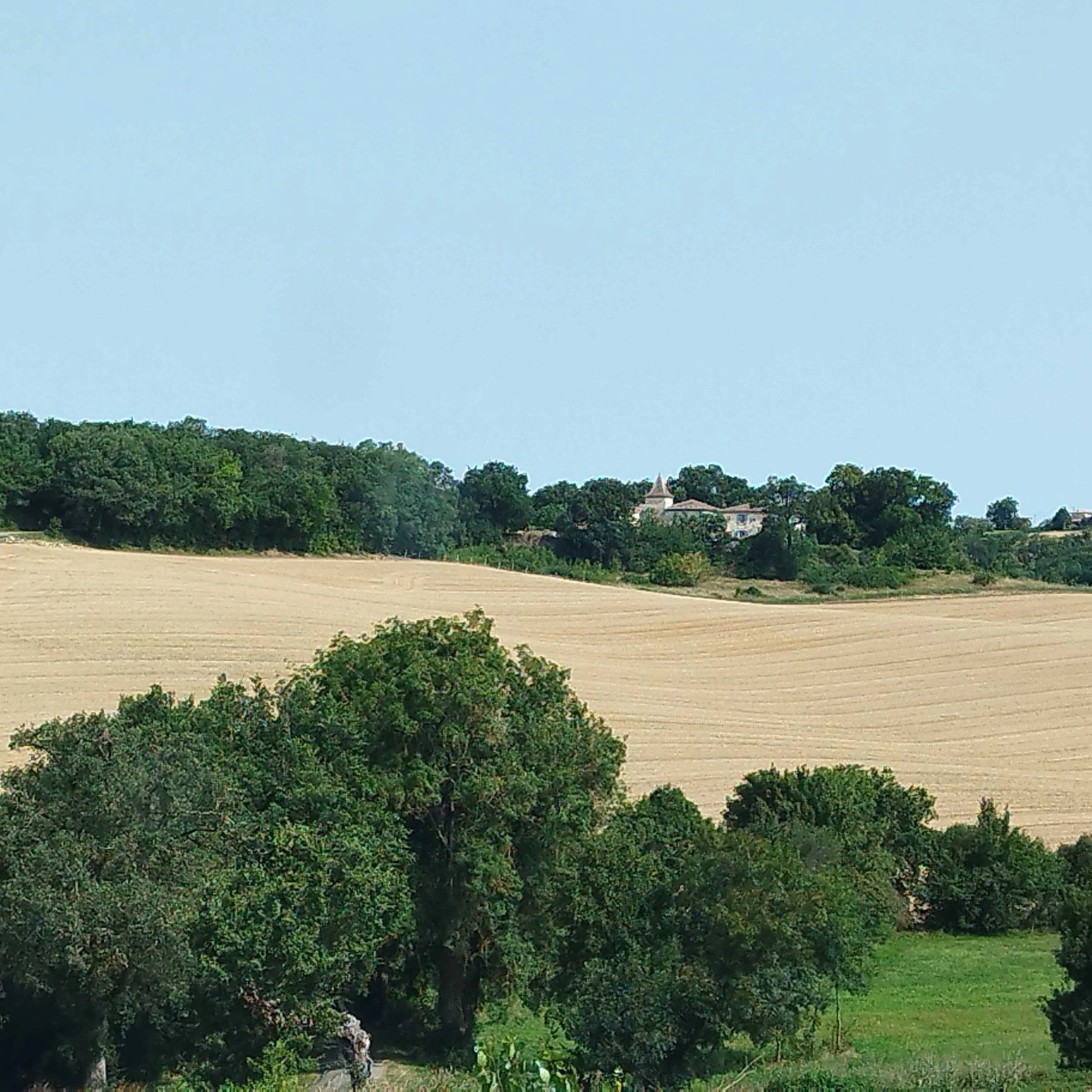 gascogne-medieval-estate-31.jpg