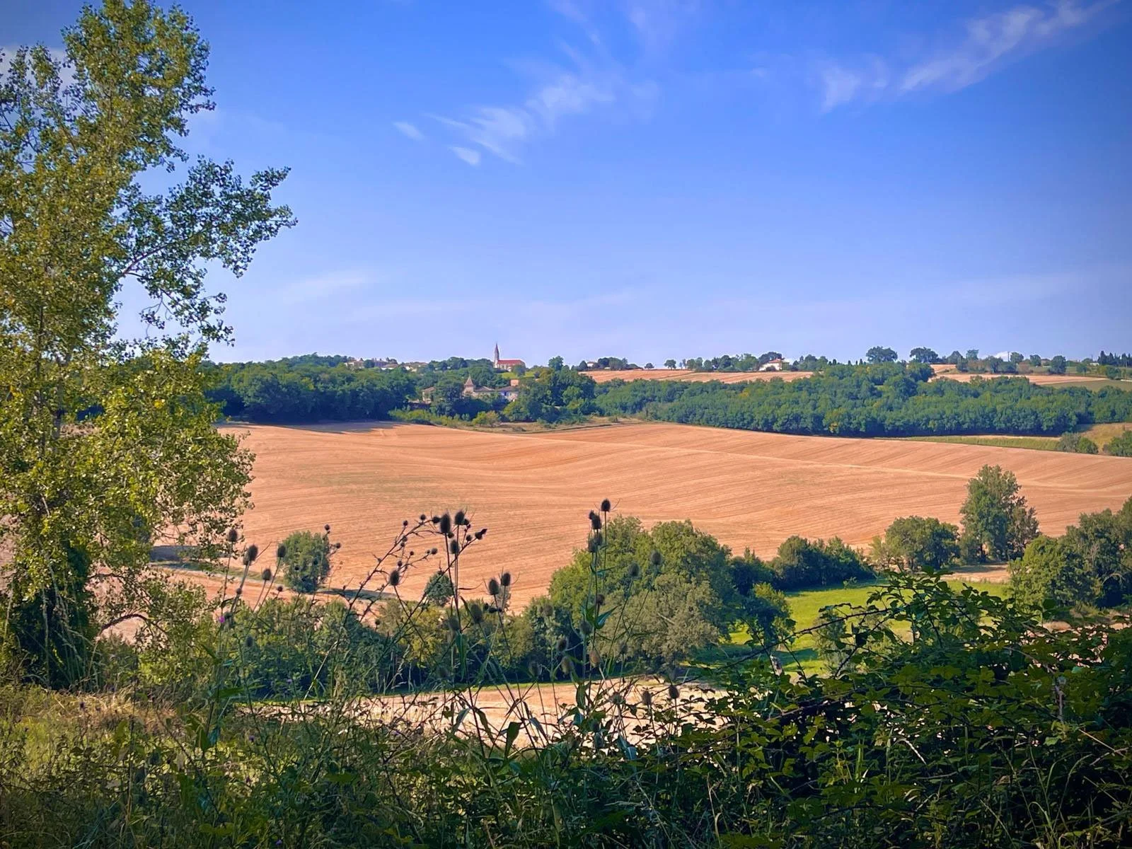 gascogne-medieval-estate-95.jpg