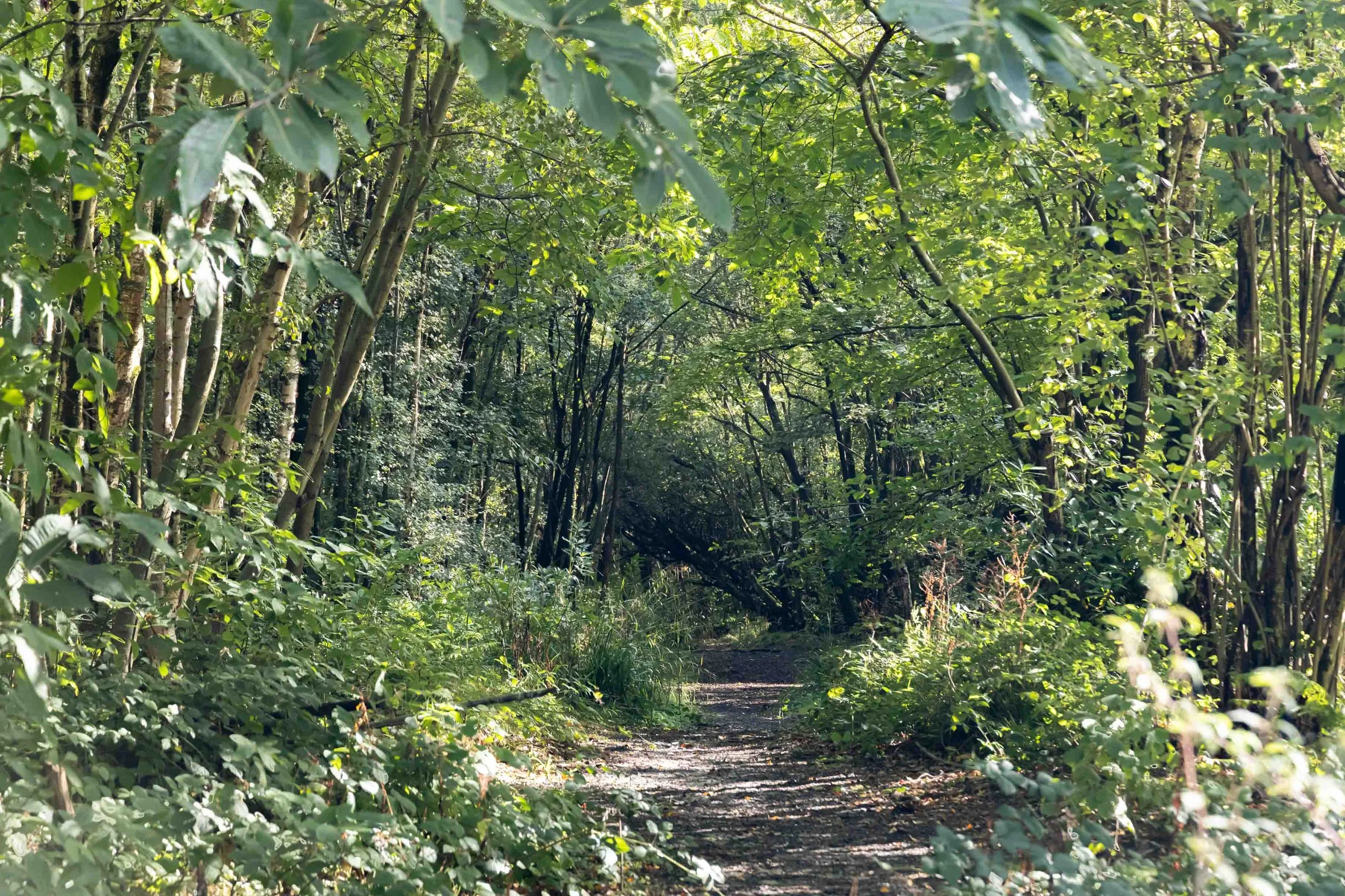 woodland-enterprise-estate-east-sussex-35.jpg