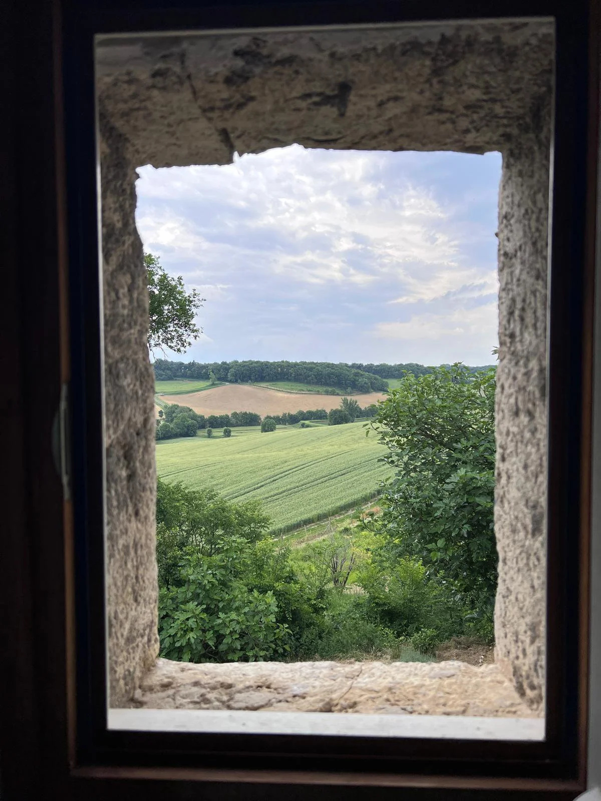 gascogne-medieval-estate-106.jpg
