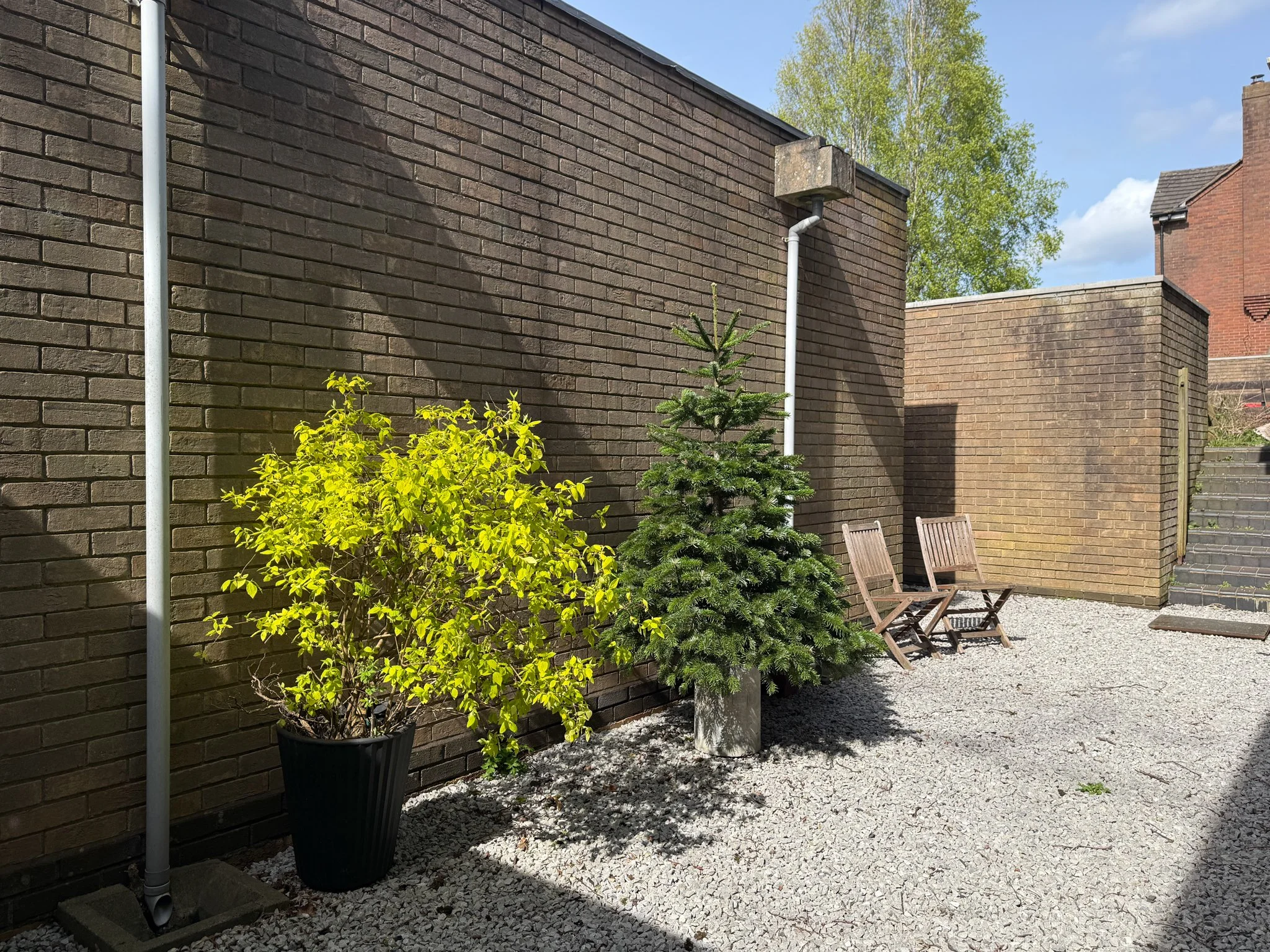 Pebbled garden (1)-2.jpg