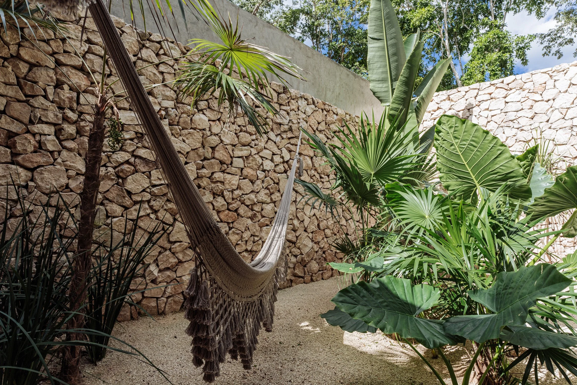 Jungle_Sanctuary_65.JPG