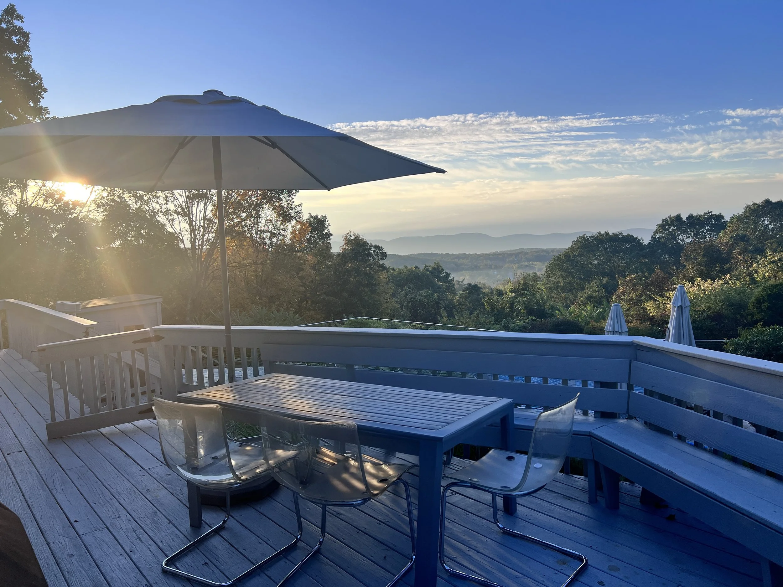 hudson-valley-mid-century-modern-newburghTERRACE 4.jpg