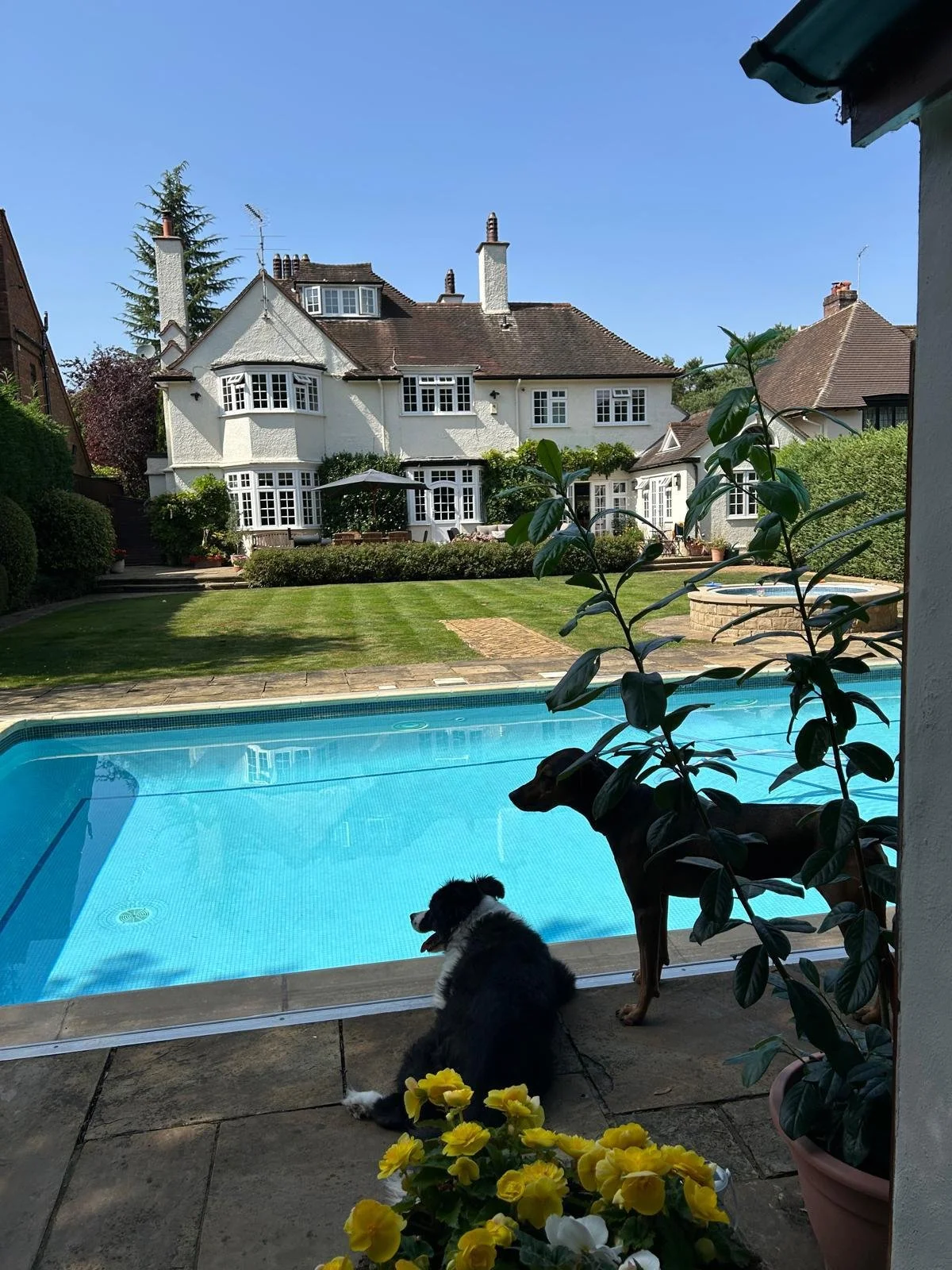 Christchurch back of house.JPG