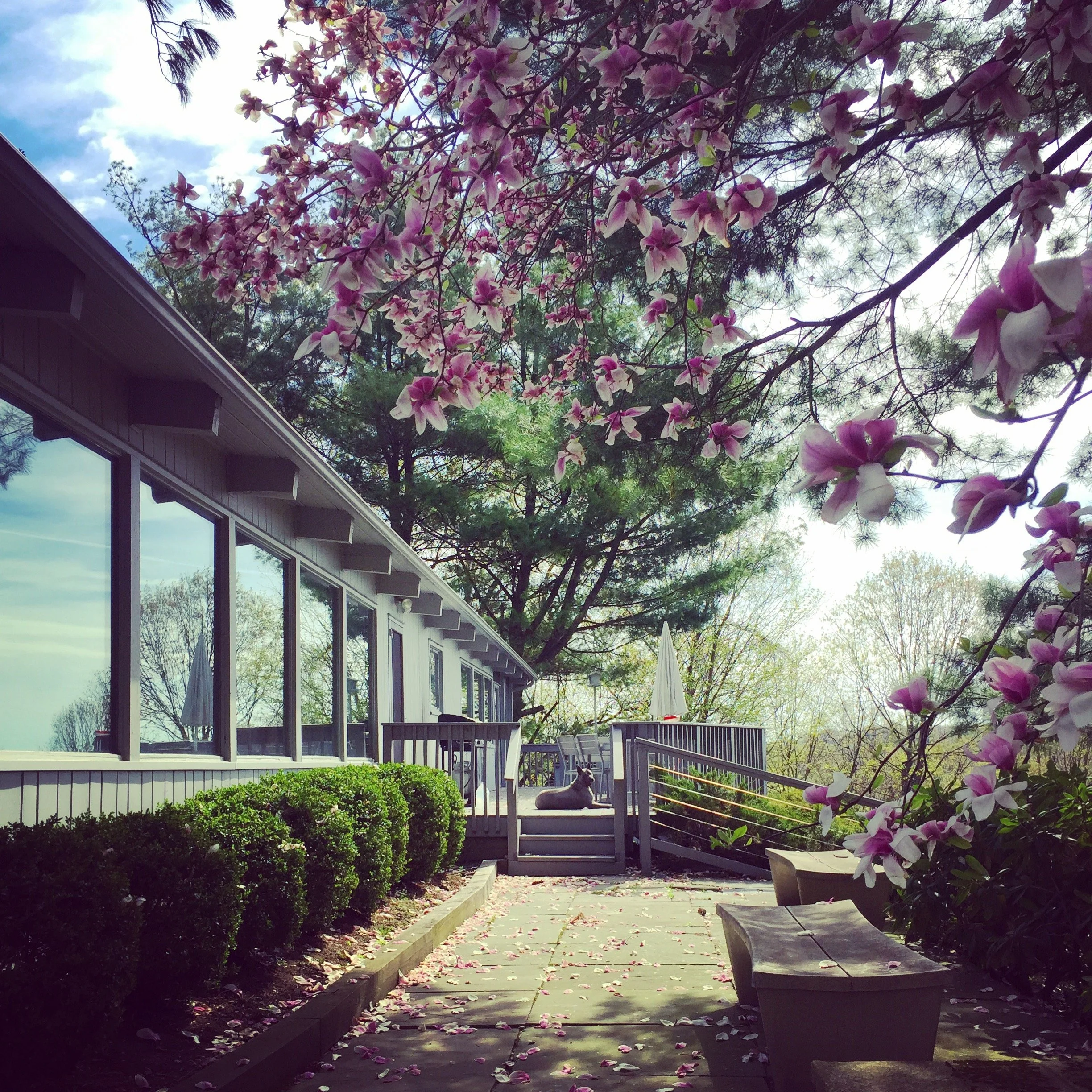 hudson-valley-mid-century-modern-newburghExterior 5.JPG