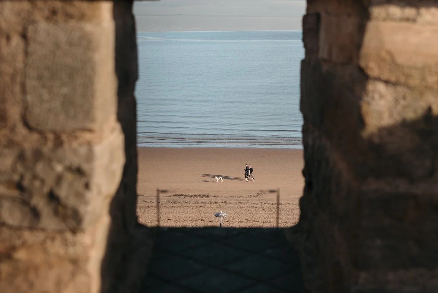the-tower-portobello-24.jpg