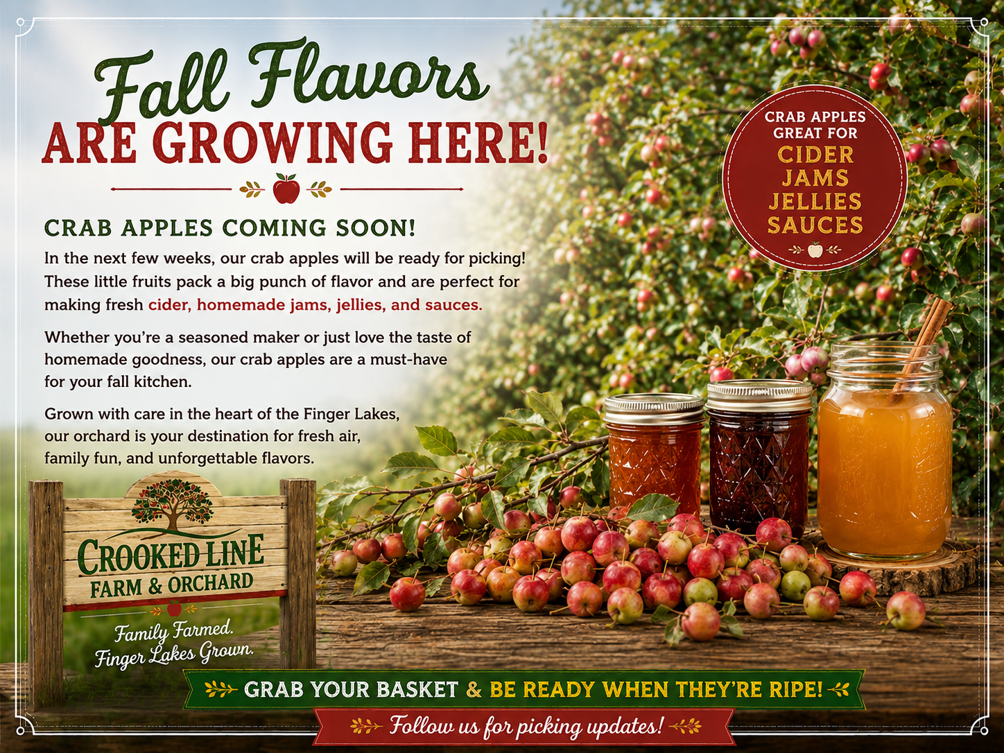 Our crab apples will be ready for picking in just a few weeks! Perfect for fresh cider, homemade jams, jellies, sauces, and preserves, these flavorful little apples are worth the wait.