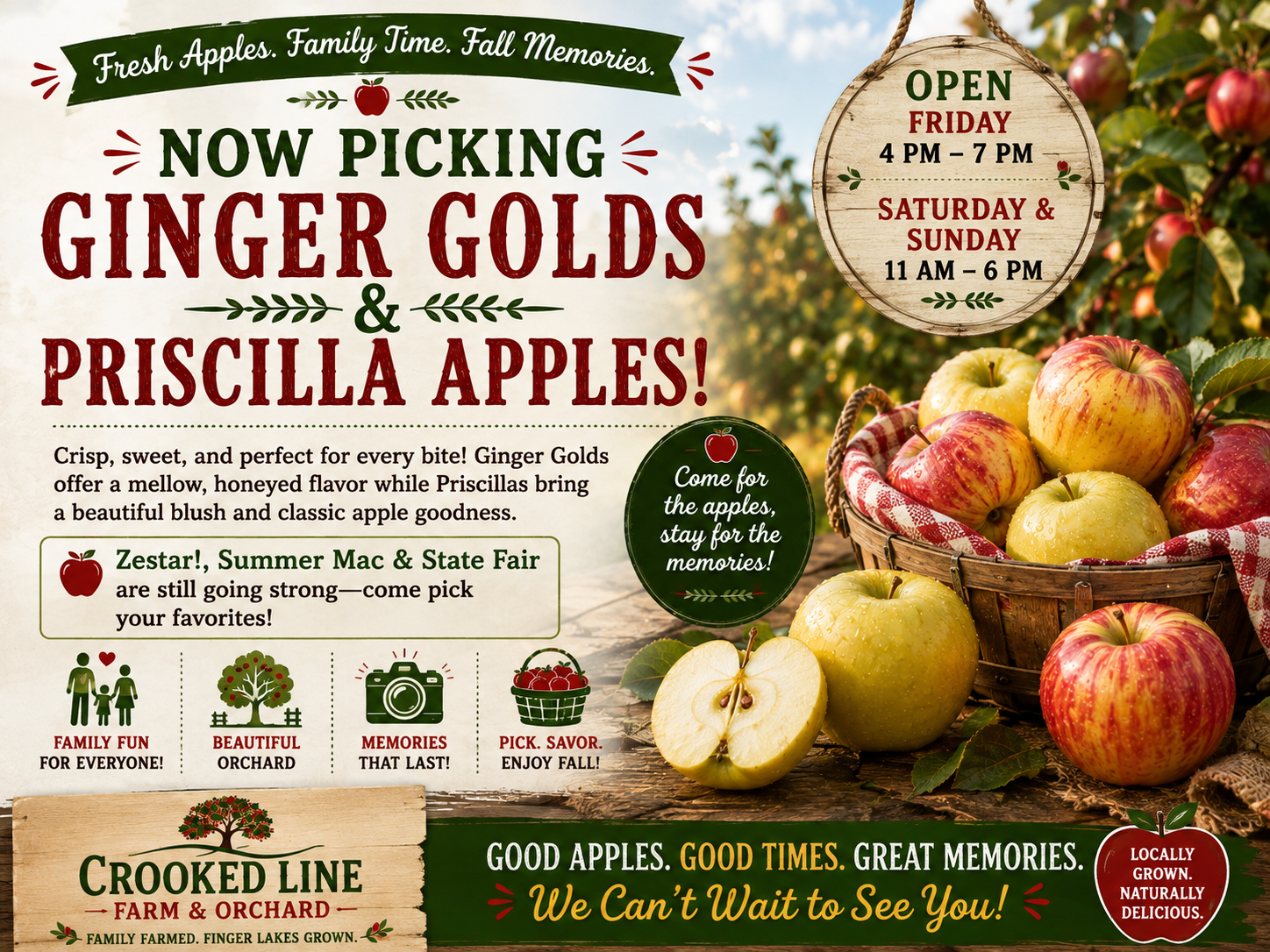 🍏 Ginger Gold & Priscilla Apples Are NOW PICKING
