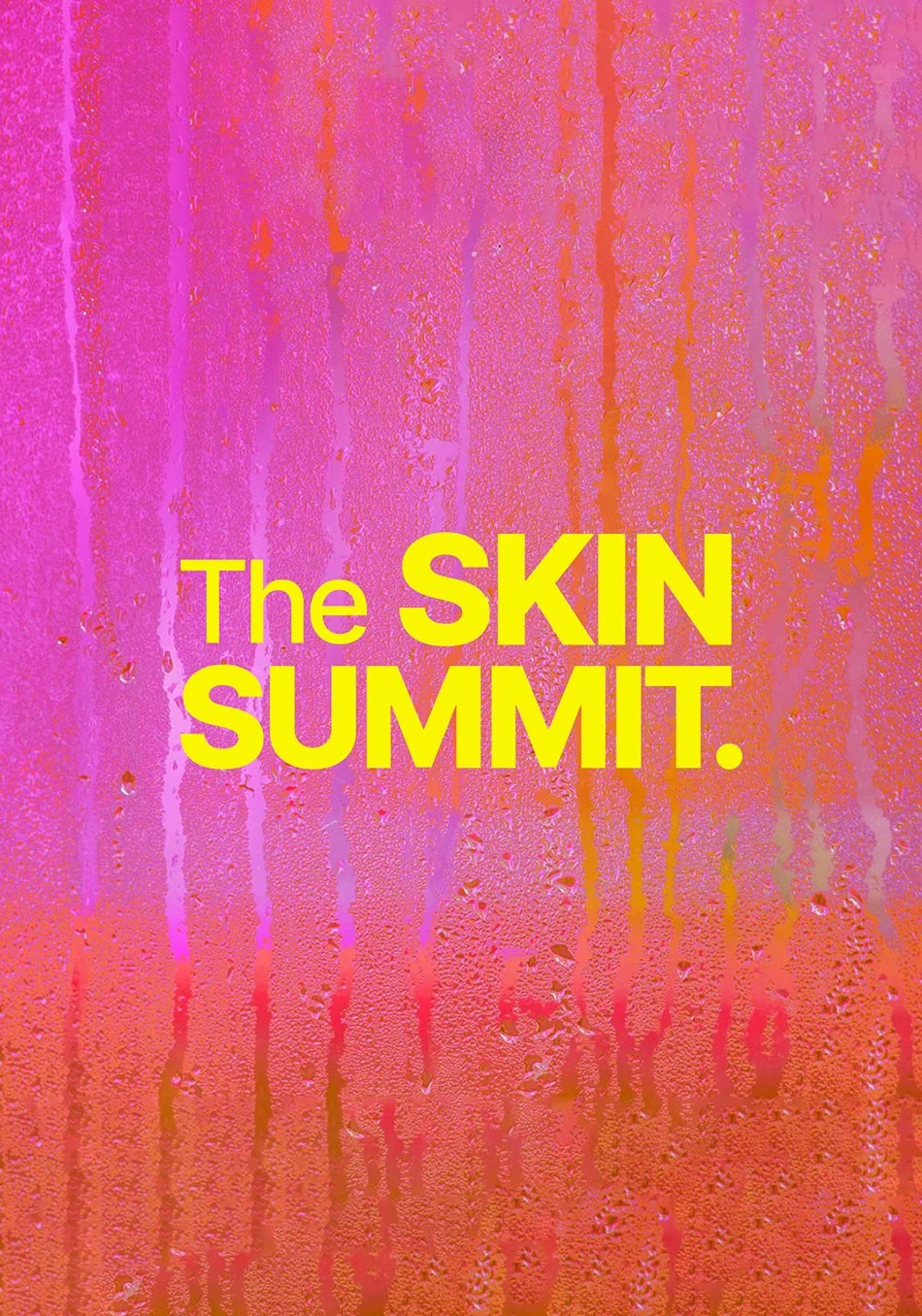Hol-Shebang_Portfolio-Home-Carousel_The-Skin-Summit.jpg