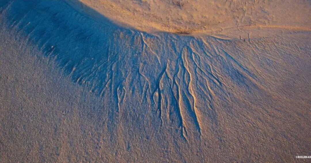 Beach structure 1, St. Pol-de-Leon 2017