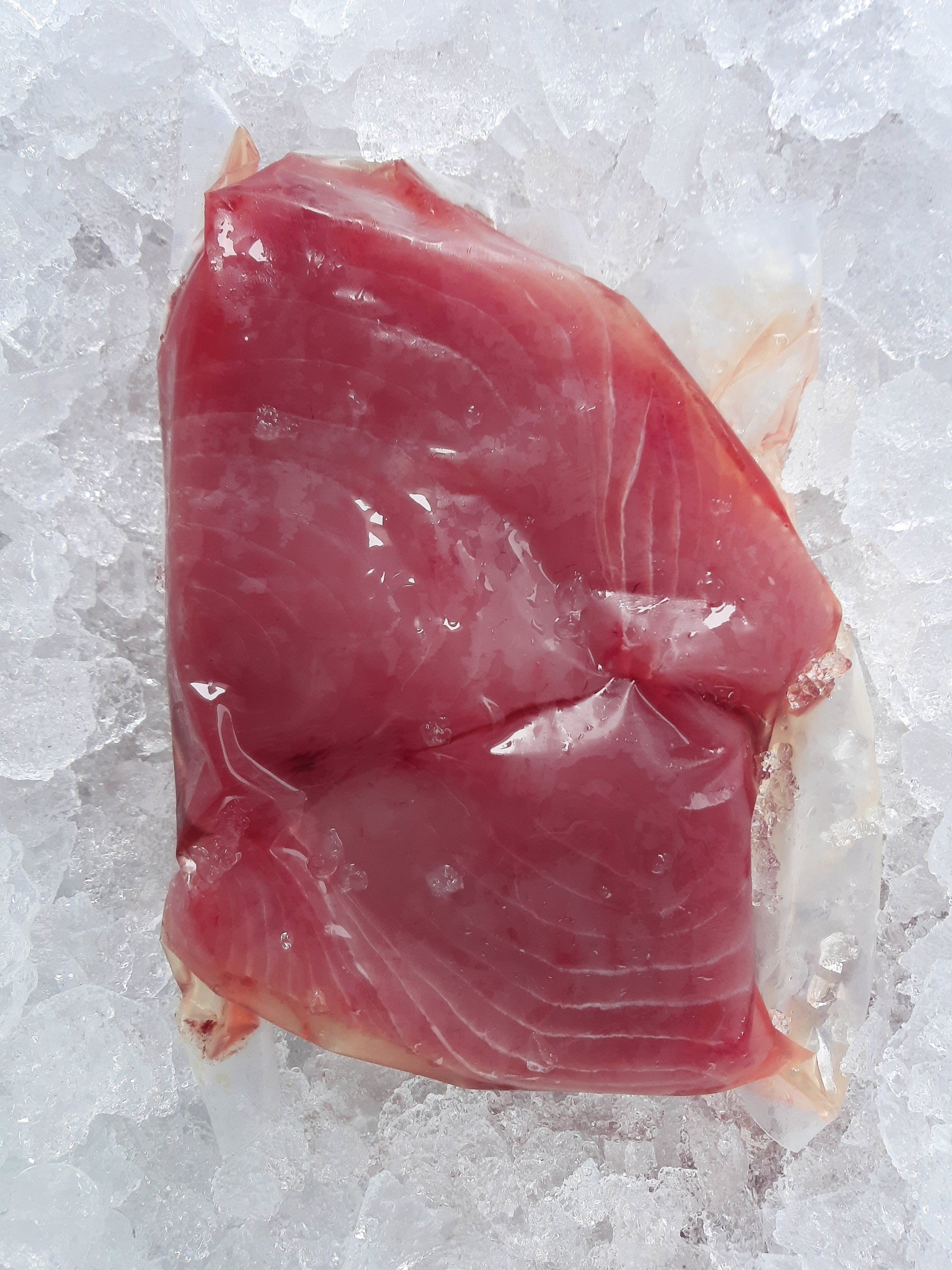 Yellowfin Tuna