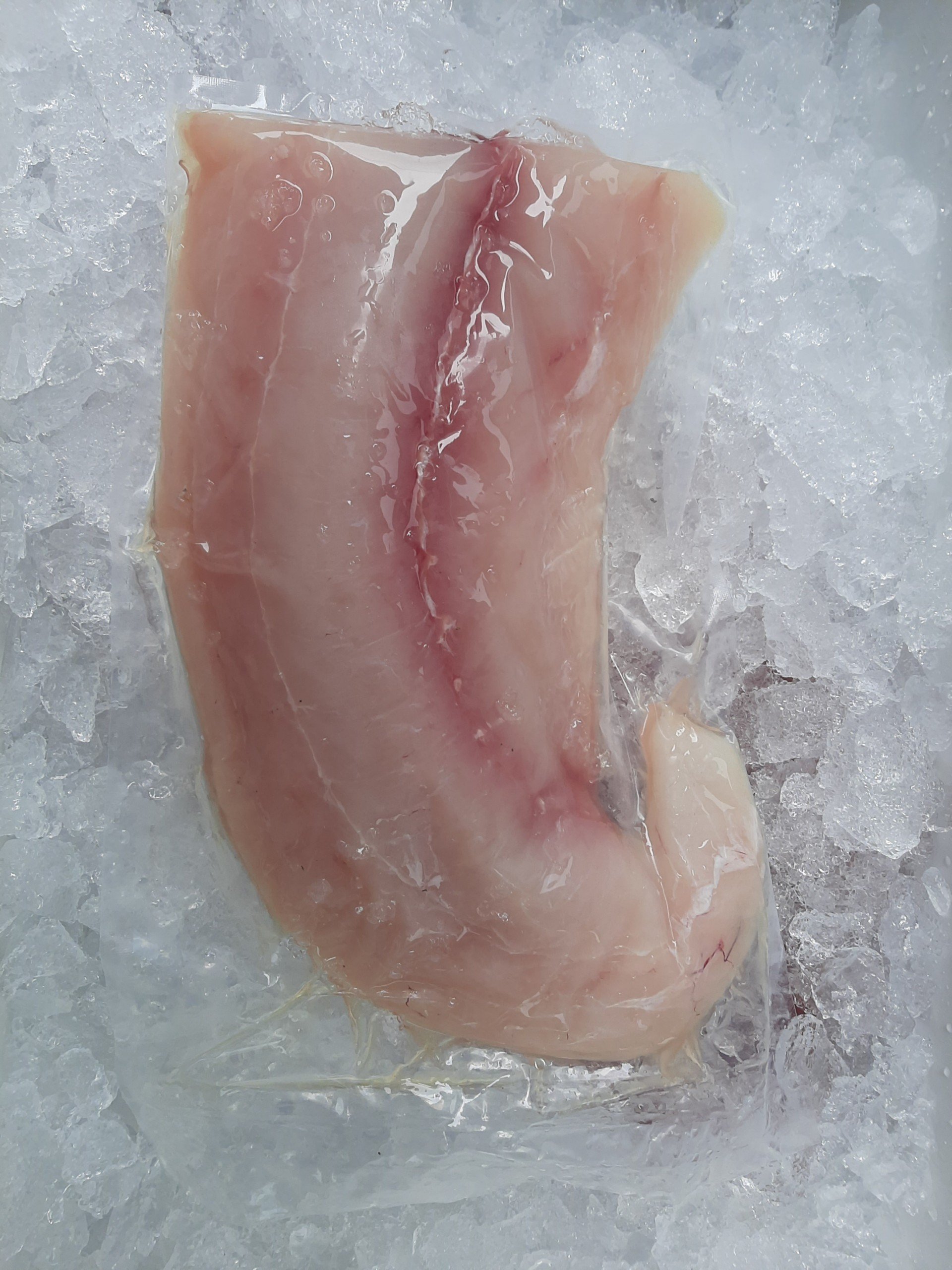 Mahi