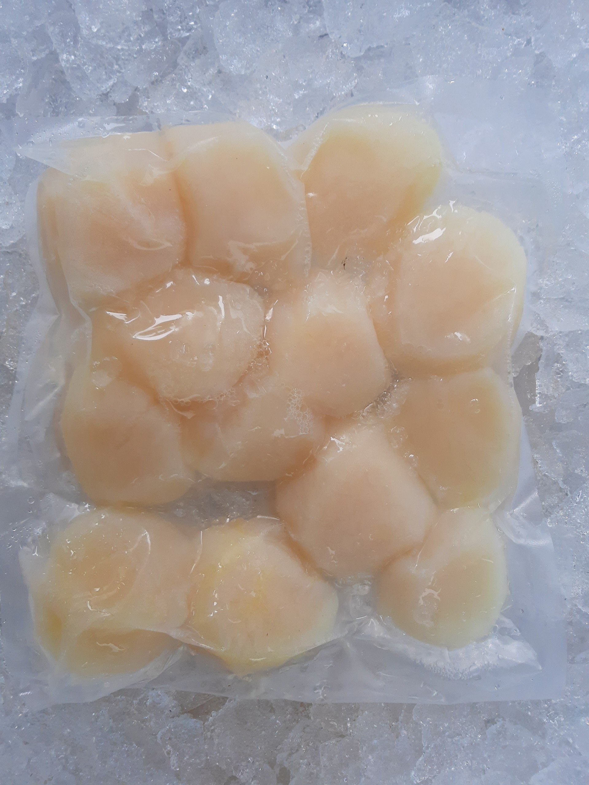 Sea Scallops (10/20ct)