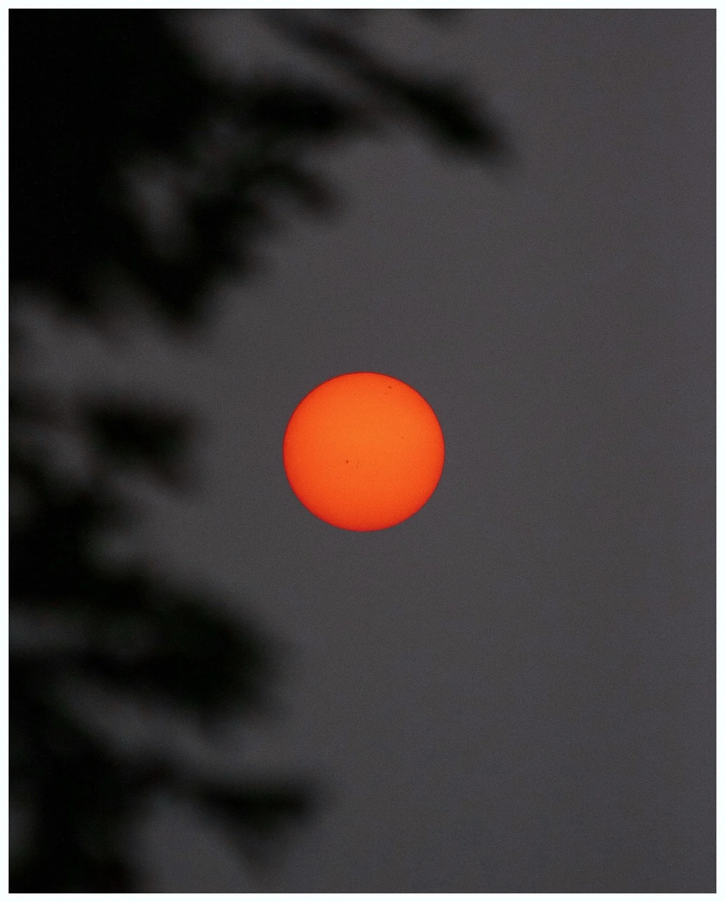 Today&rsquo;s sunrise with smoke from the Canadian wildfires turning the sun deep red &amp; orange. It gave me Dune vibes. The smoke is so thick along the horizon, the sun wasn&rsquo;t visible until almost an hour after sunrise. As it poked through, 