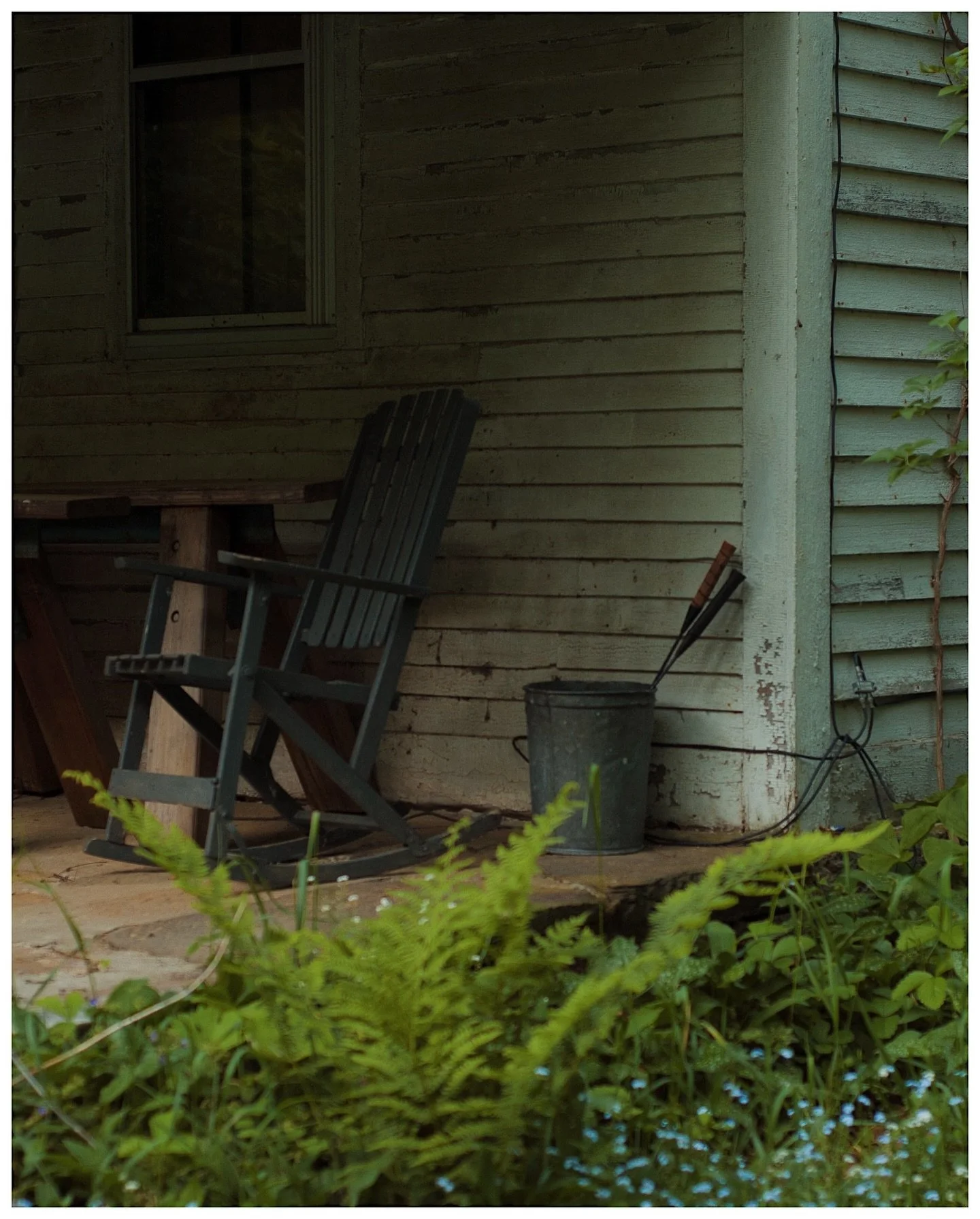 An abandoned home a couple houses down from my mom&rsquo;s. The owner passed away a bit ago, and I&rsquo;ve always adored this house. 

#abandonedhouse #naturephotographers #vsco #newenglandphotography #eyeshotmag #newhampshire #abandonedphotography 